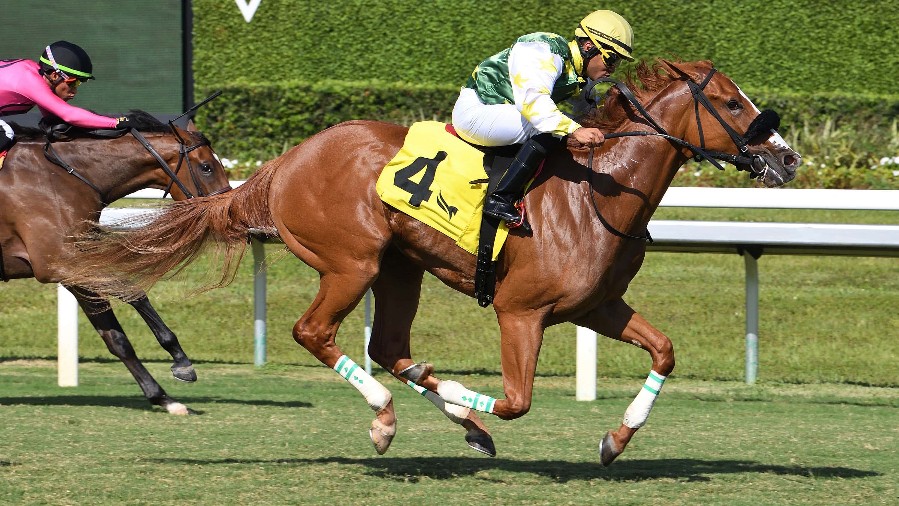 Liberty Rings Takes on Boys in Saturday’s Hollywood Beach