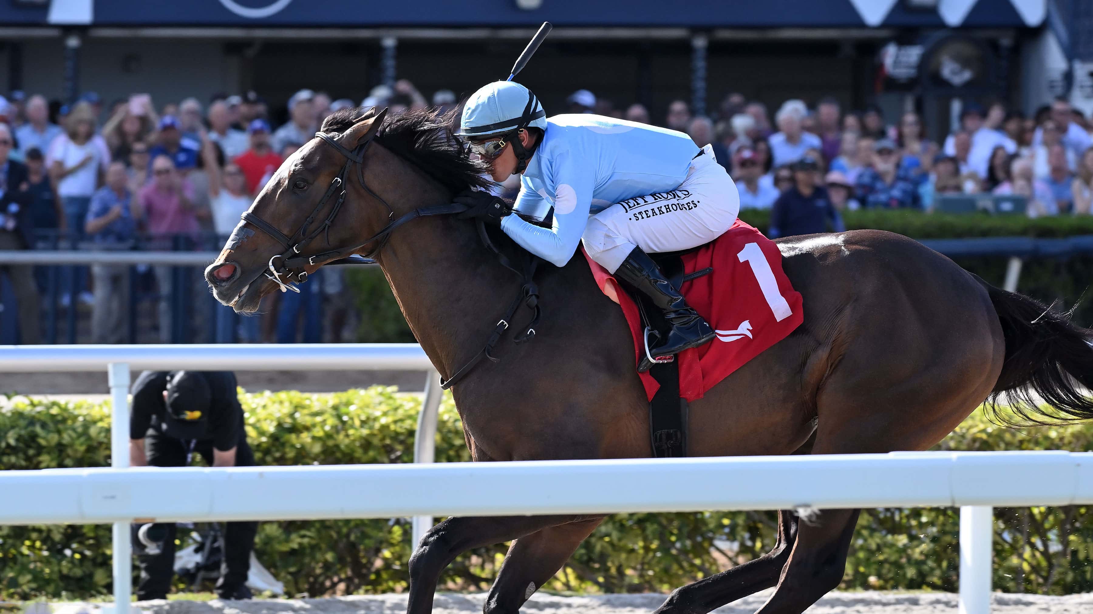 Sunday’s Rainbow 6 Jackpot Pool Estimated at $500,000