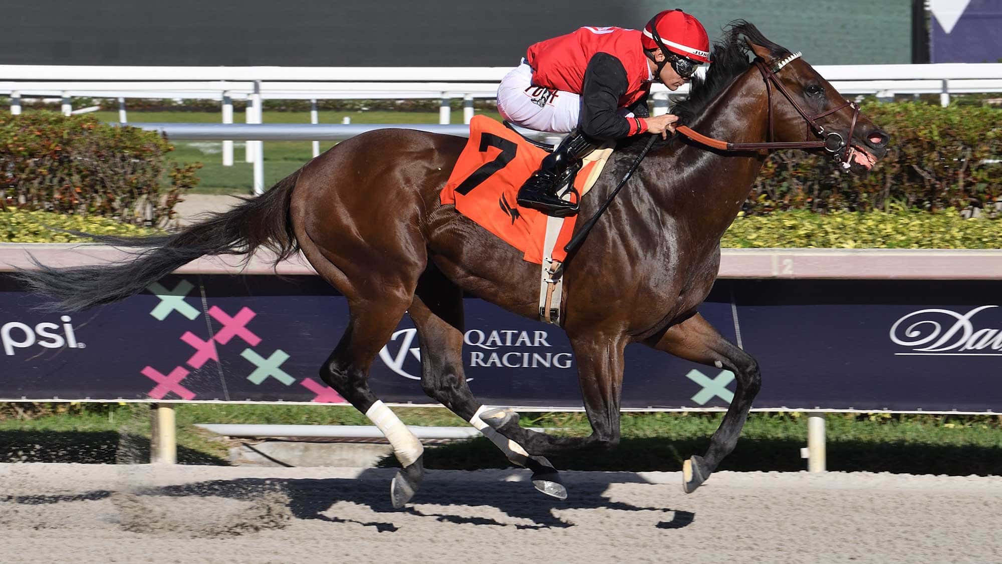 Candy-Man-Rocket-the-GP-Sprint