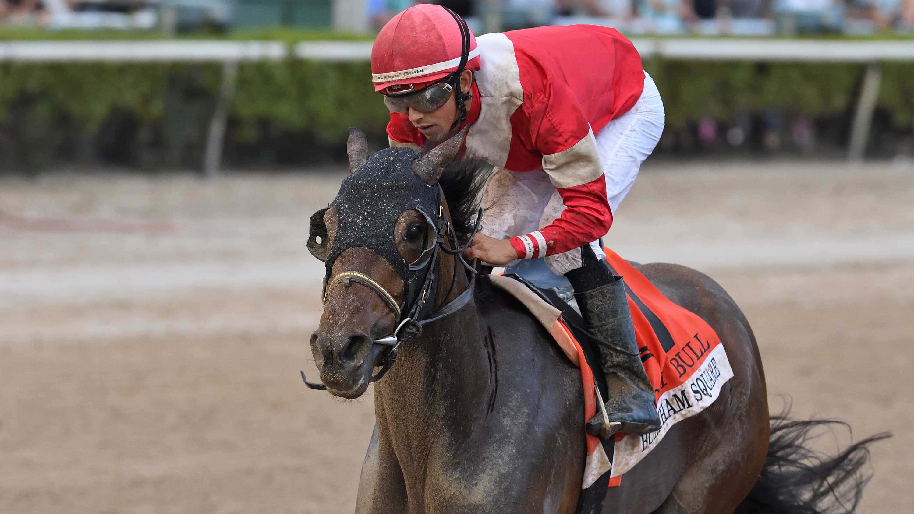 Holy Bull Hero Burnham Square Breezes for G2 Fountain of Youth