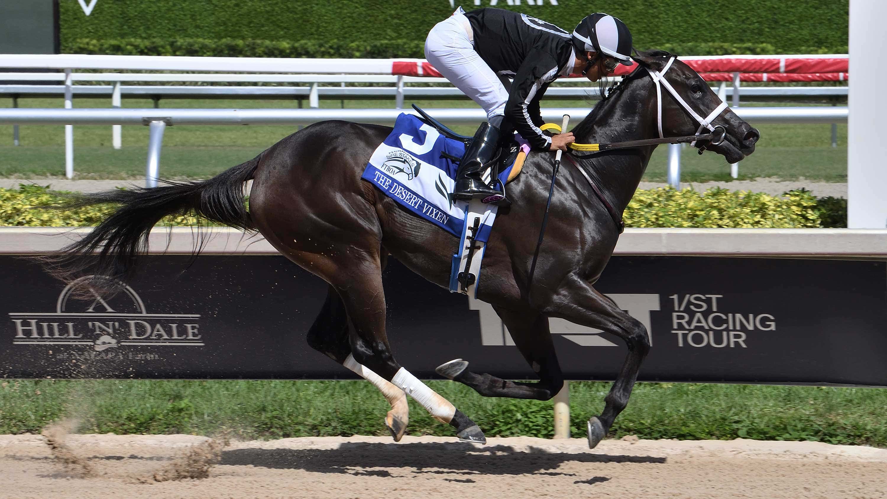 R Morning Brew Goes the Distance in $100,000 Desert Vixen