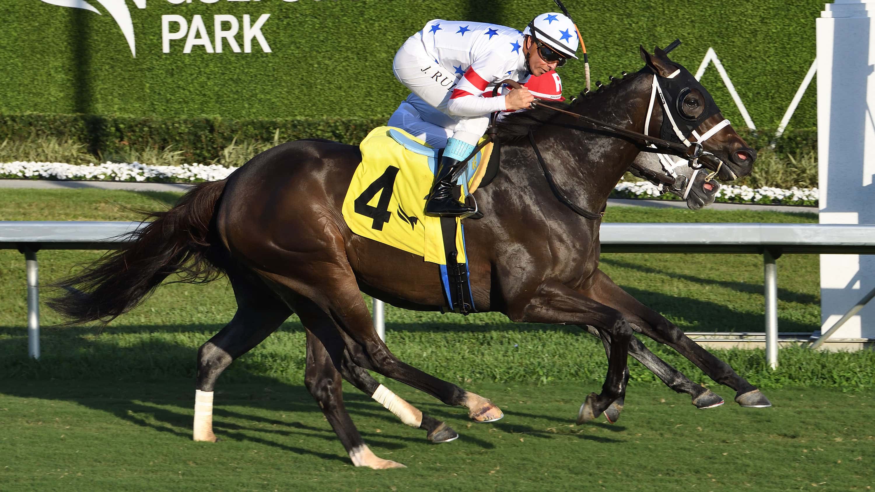All-Star Cast Invited to Pegasus Filly & Mare Turf (G2)
