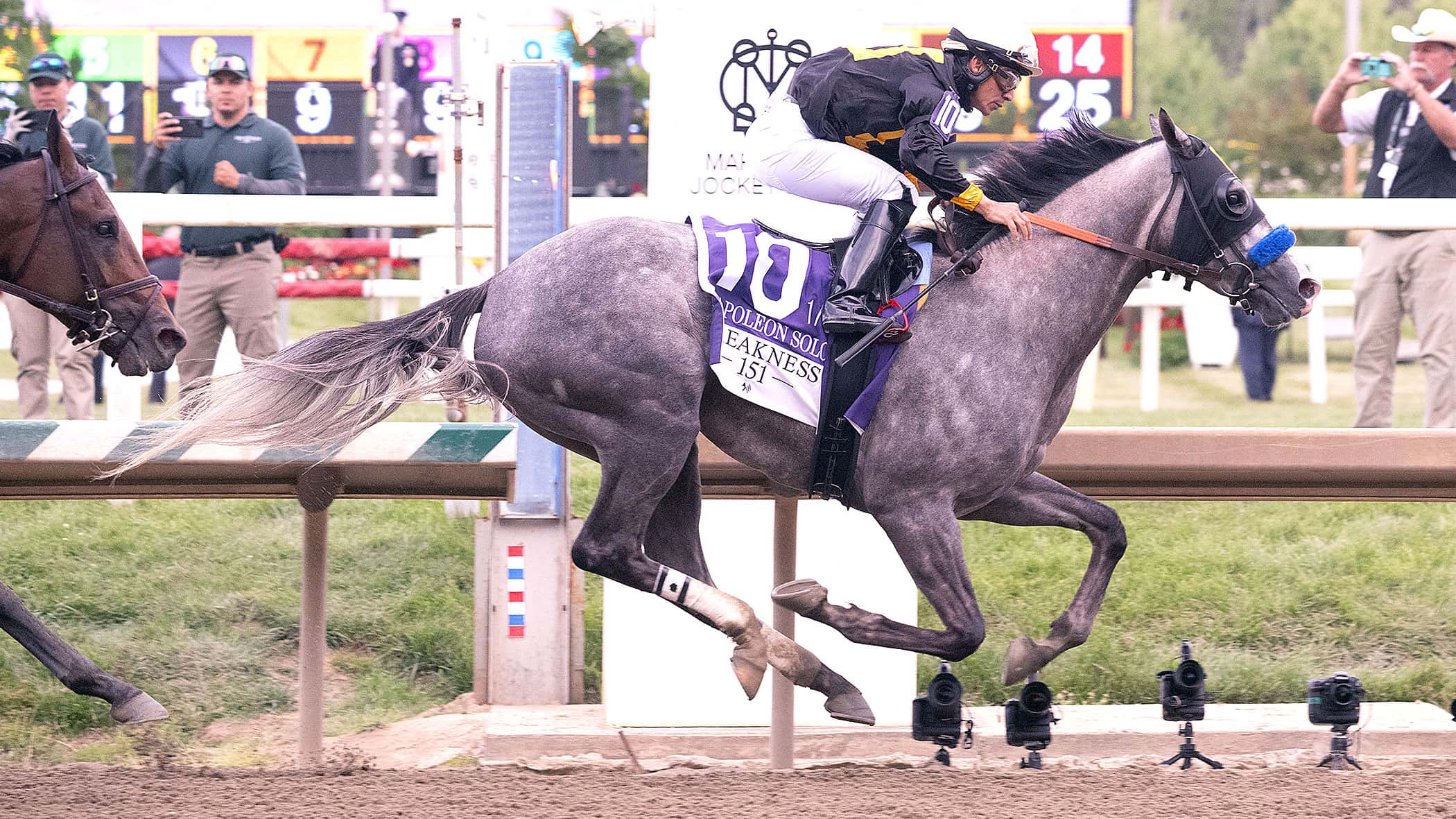 151st Preakness Stakes (G1) Quotes