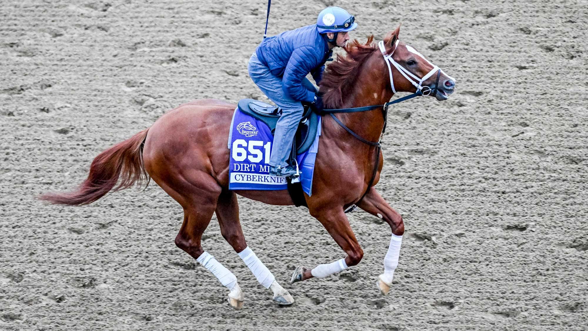 Cyberknife-bc-training