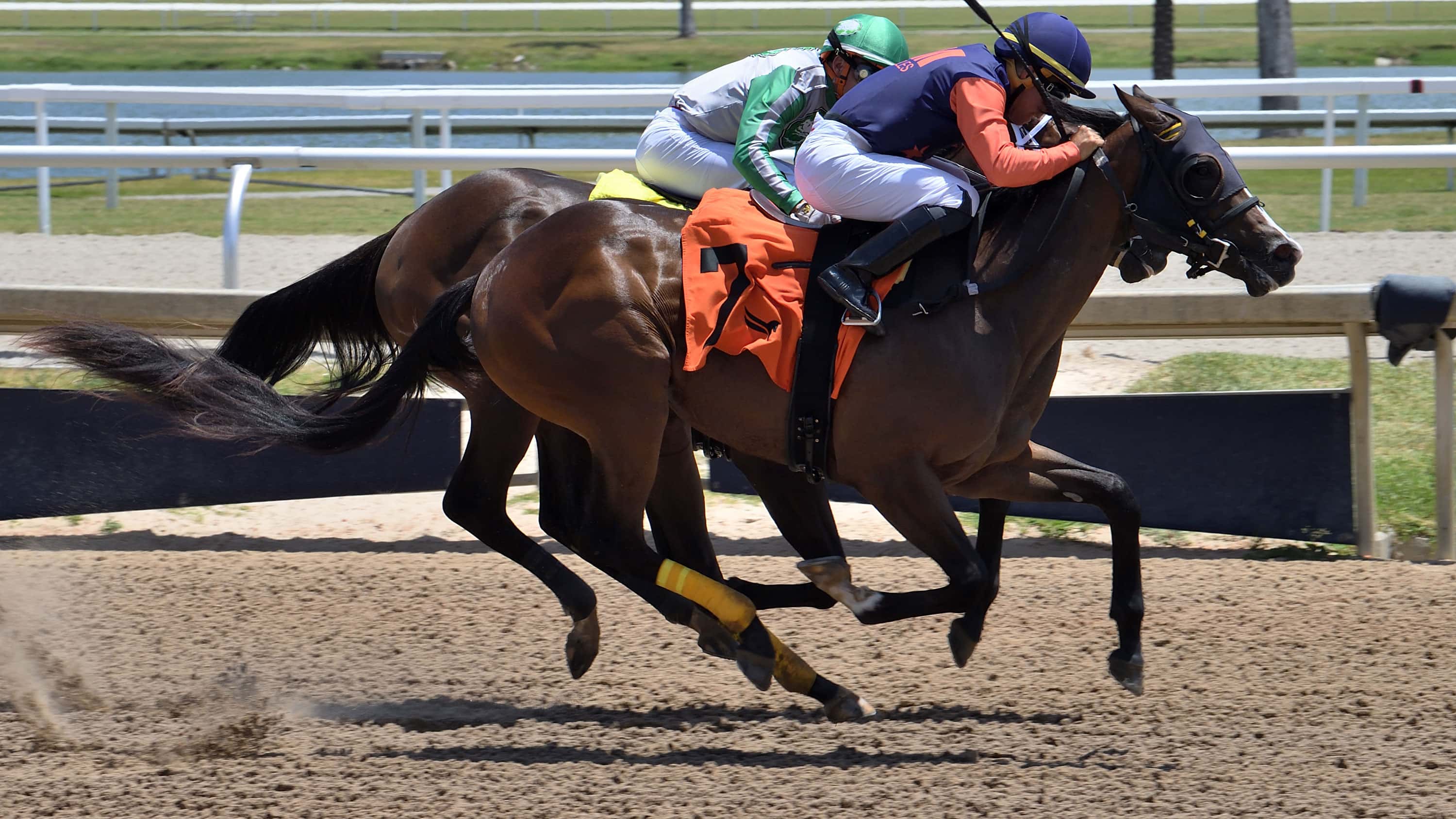 Willow Case, Tessellate Meet Again in Hallandale Beach