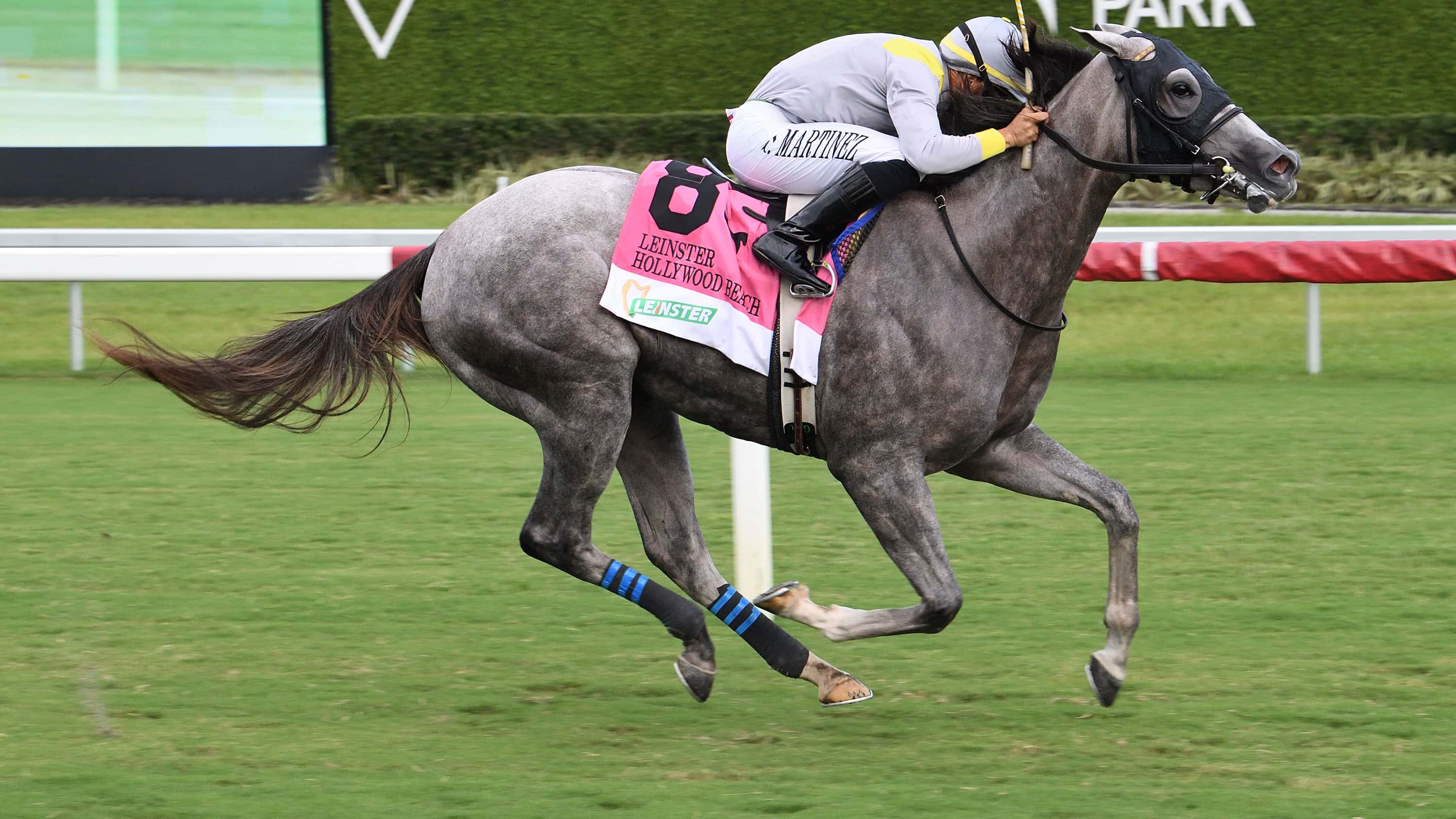 Lennilu Cruises to Dominating Leinster Hollywood Beach Victory