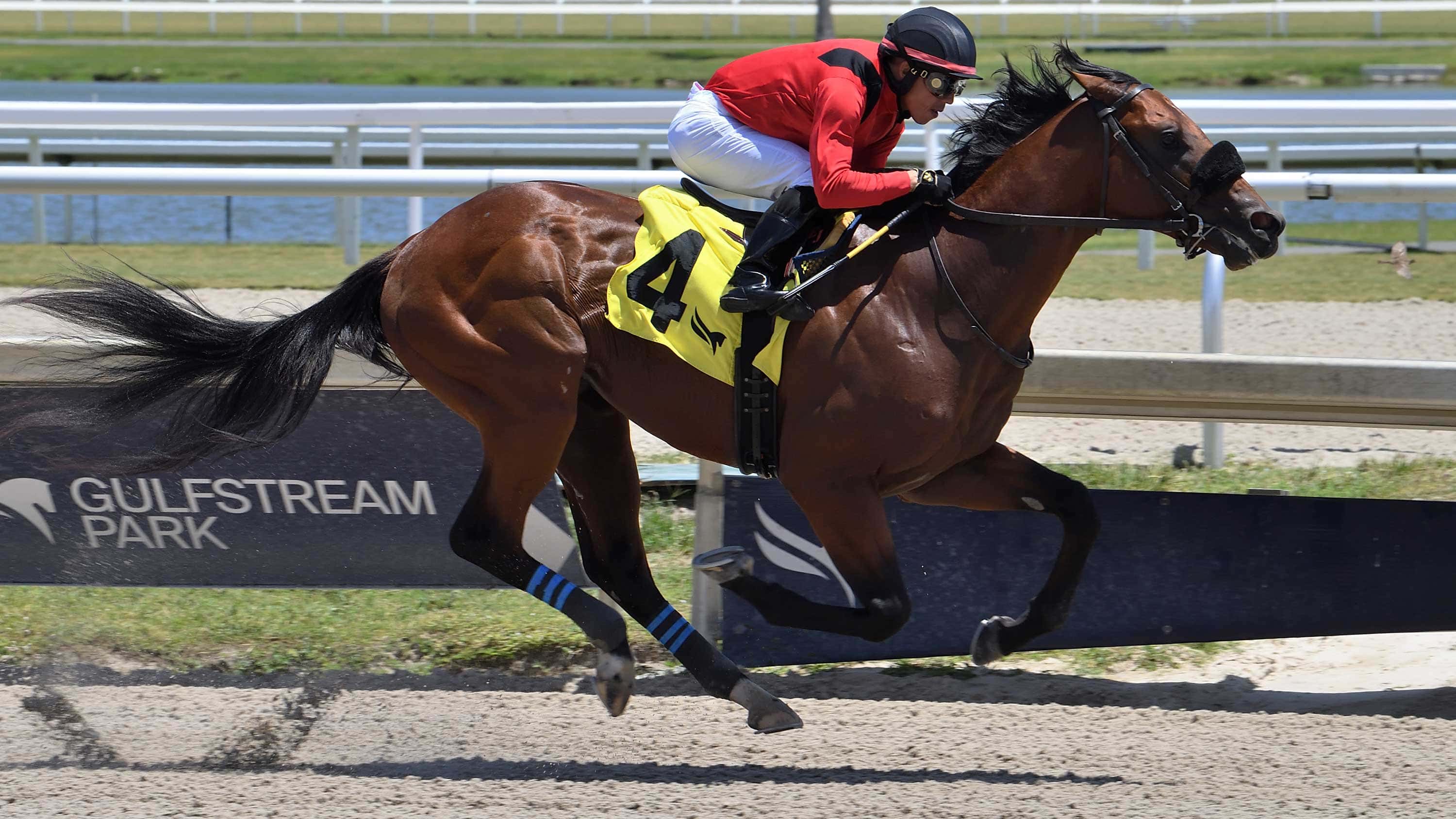 Classic of Course on Firmer Footing in Not Surprising