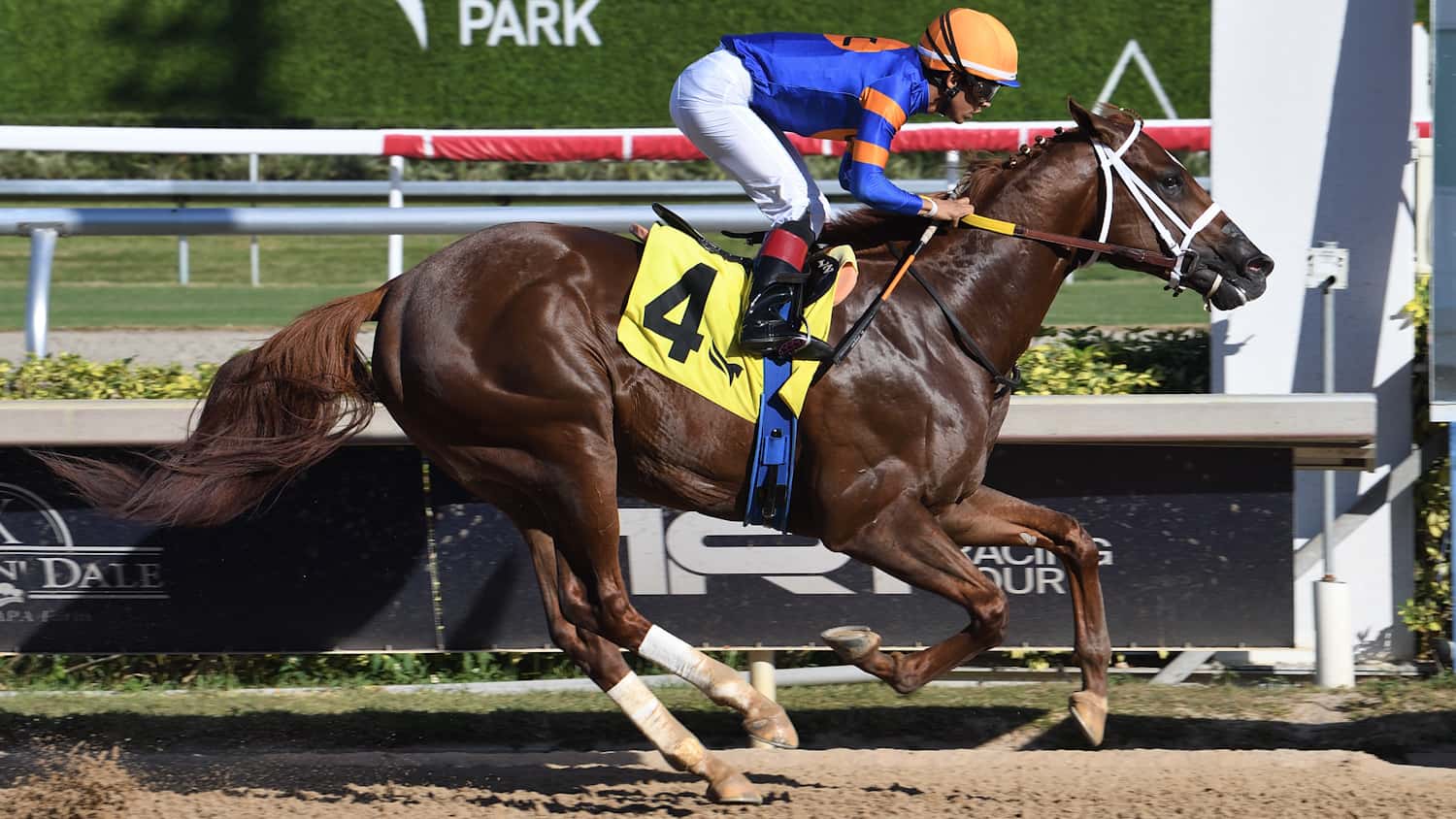 Hammond Captures Stakes Debut in $75,000 Juvenile Sprint