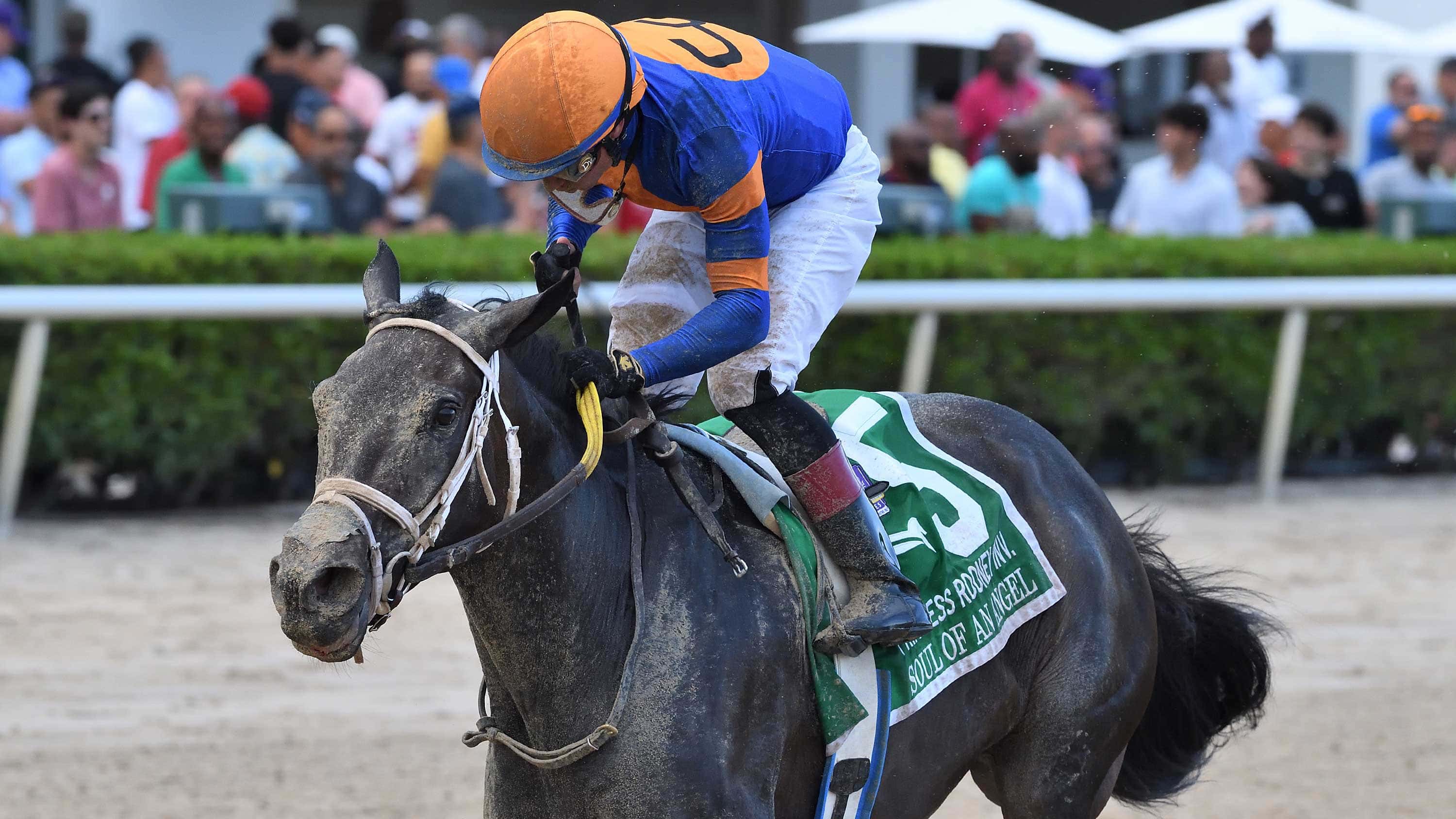 $200,000 Princess Rooney (G3) Attracts 34 Nominations