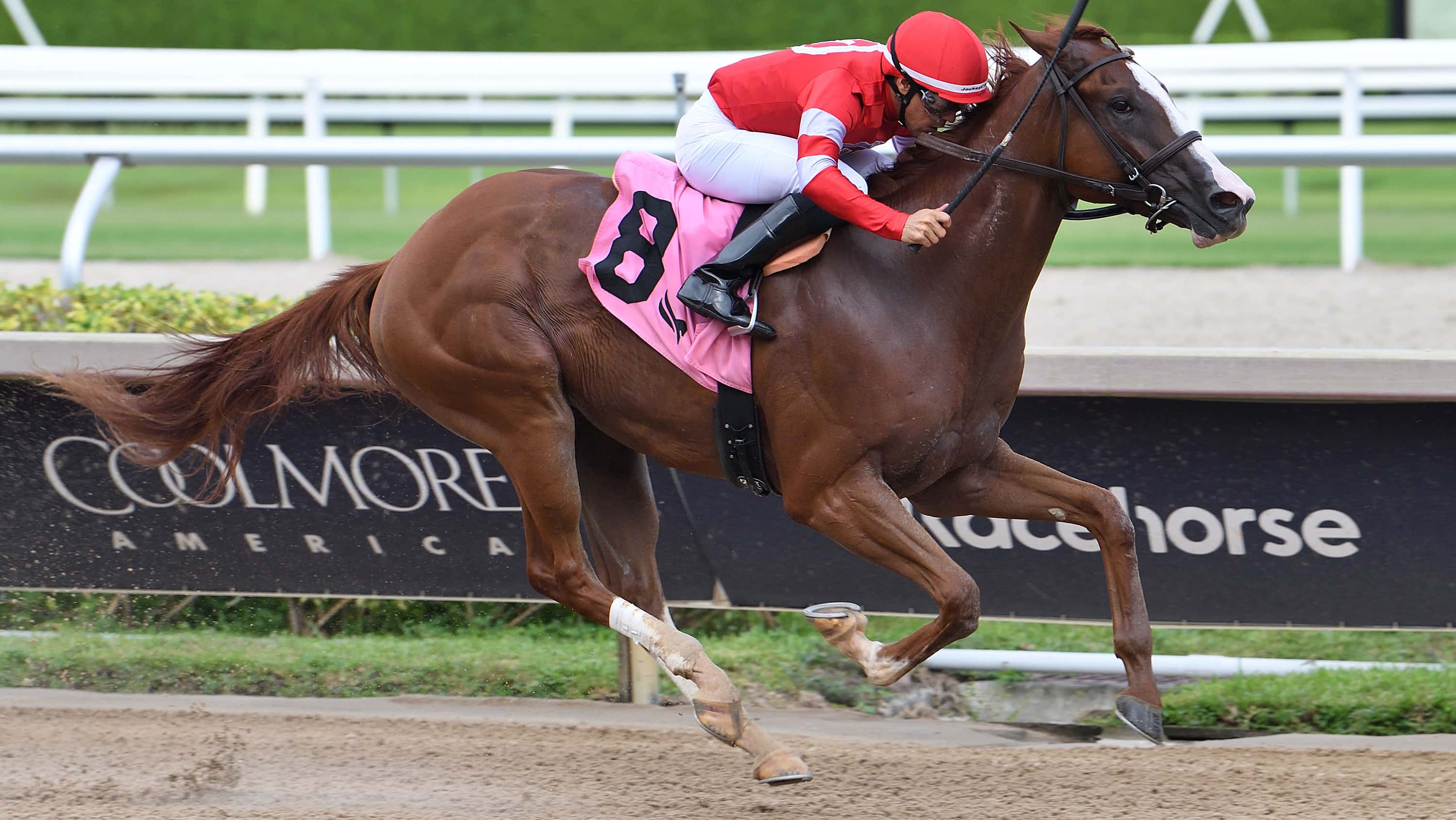 Yates Juveniles Pointing to Second Leg of Florida Sire Series