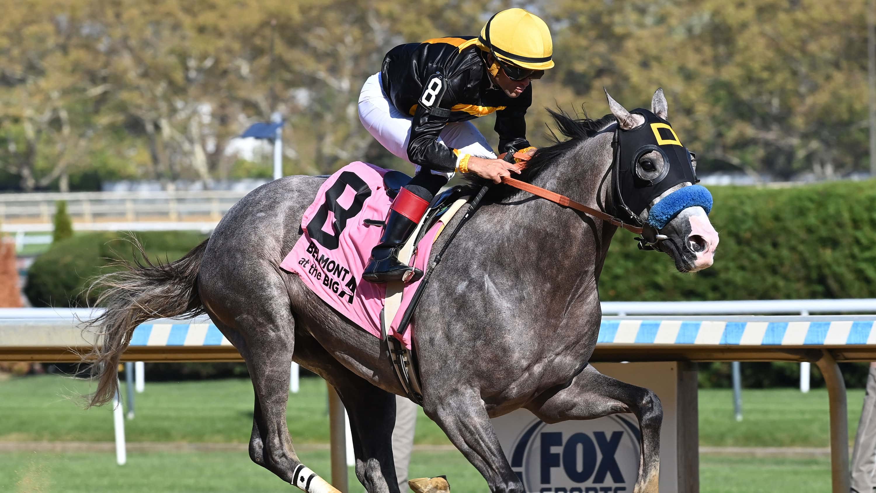 Napoleon Solo Breezes for G2 Coolmore Fountain of Youth