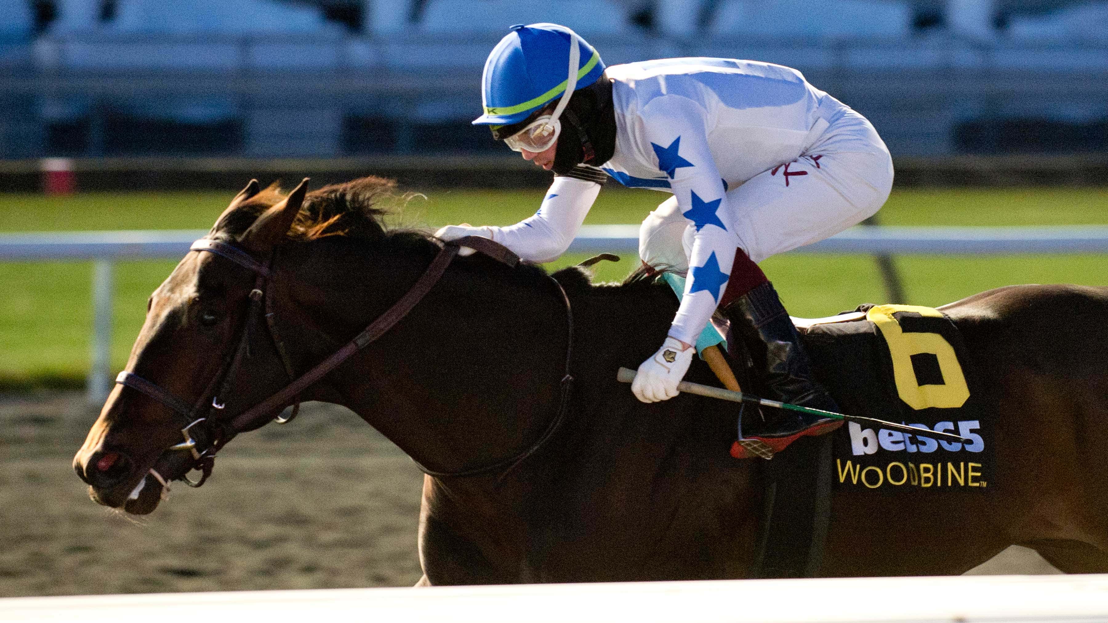 G3 Winner He’s Not Joking Serious Holy Bull (G3) Contender