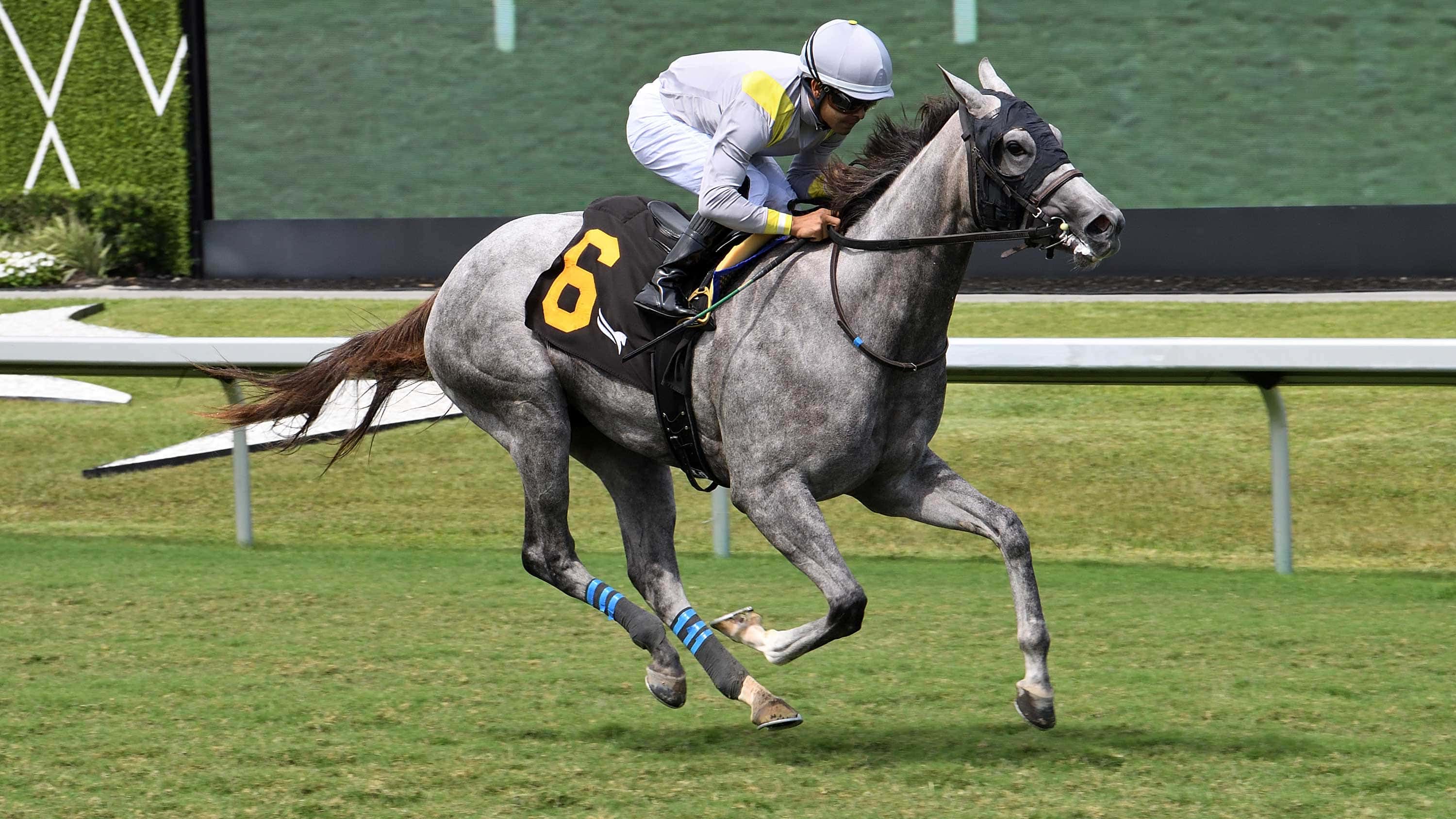Lennilu England-Bound After Royal Palm Juvenile Fillies Win