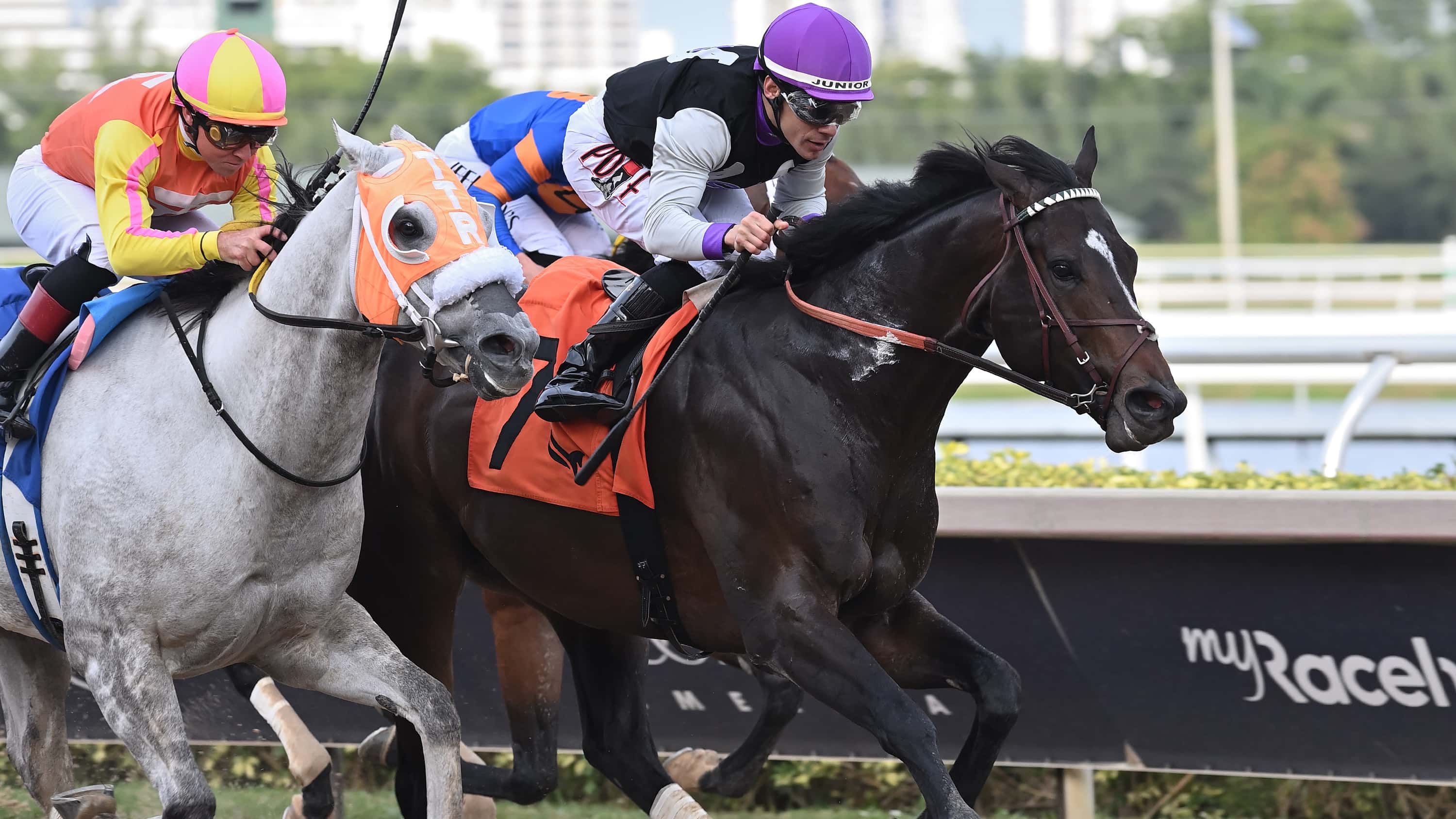 Damon’s Mound Returns a Winner in Sunshine Sprint