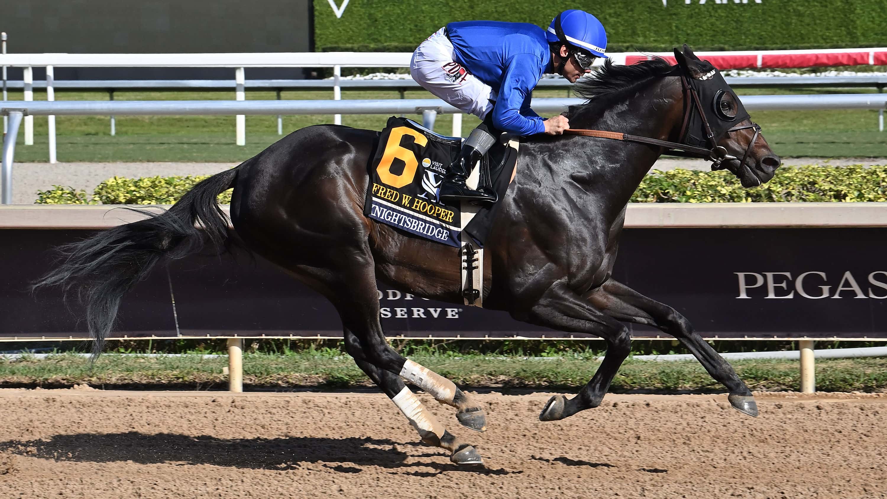 Knightsbridge Wins Fred Hooper (G3) in Impressive Style