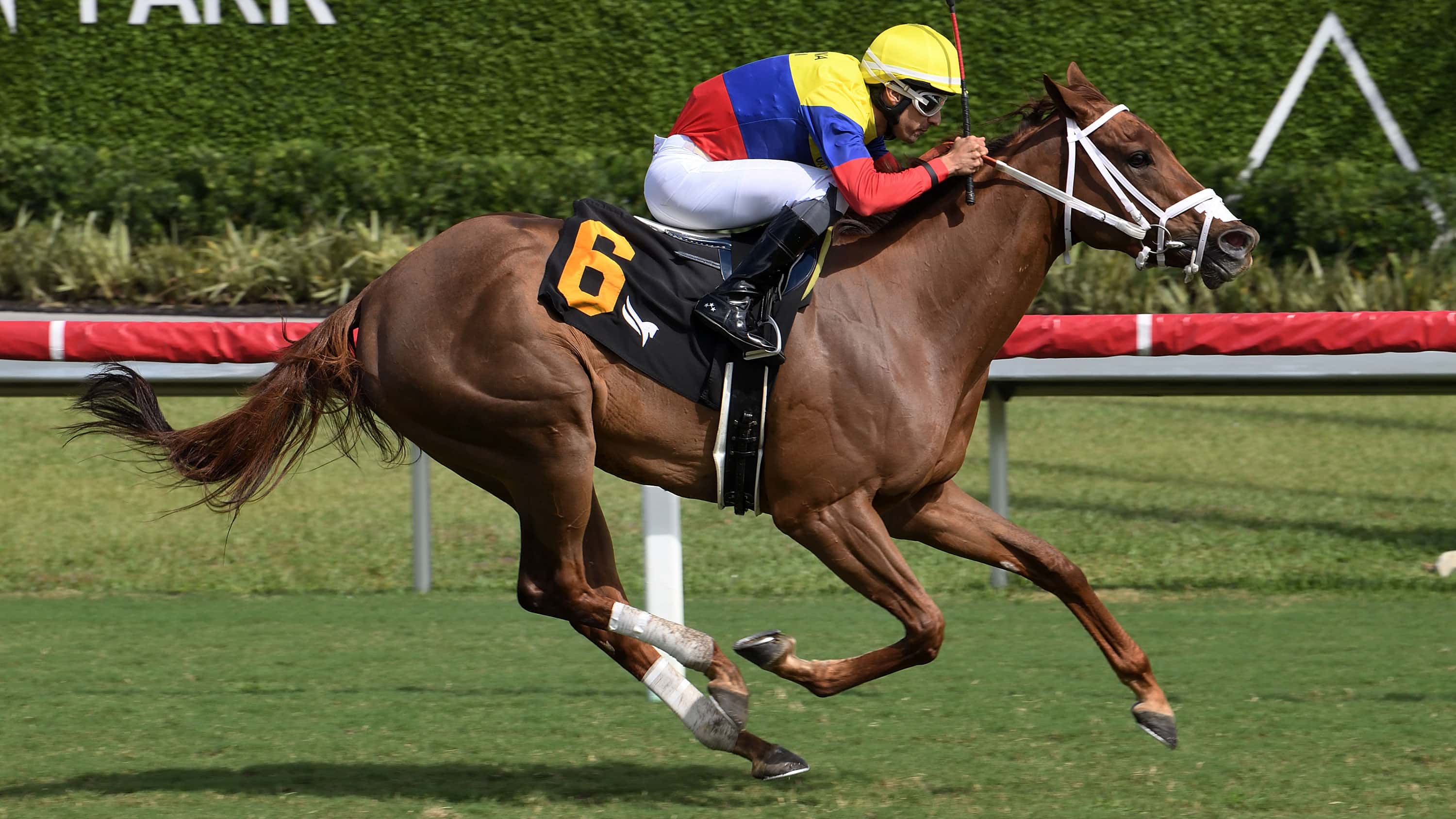 Great Venezuela Back at Gulfstream for Golden Beach