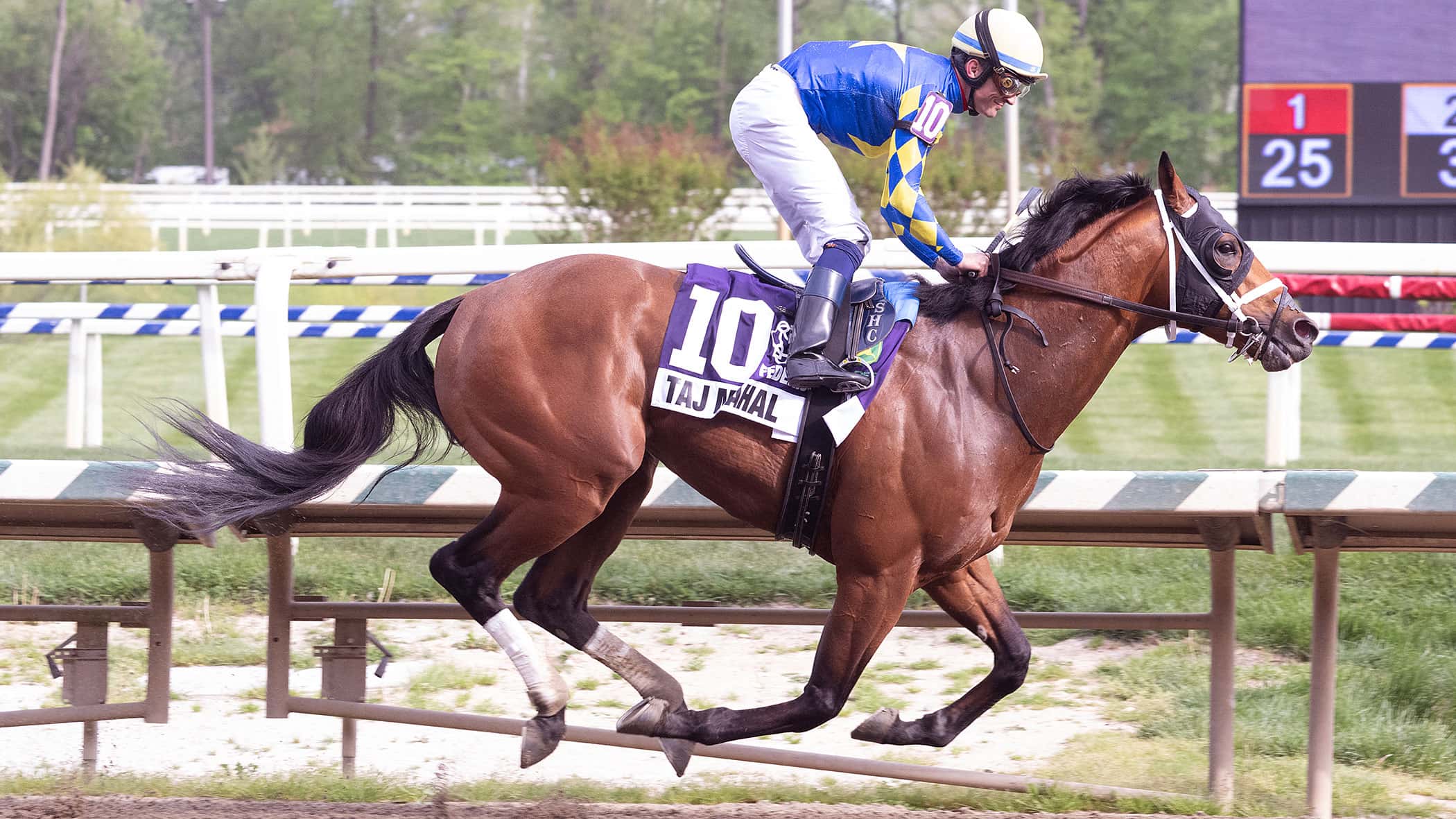 Taj Mahal Bound for Preakness (G1) Following Tesio Win