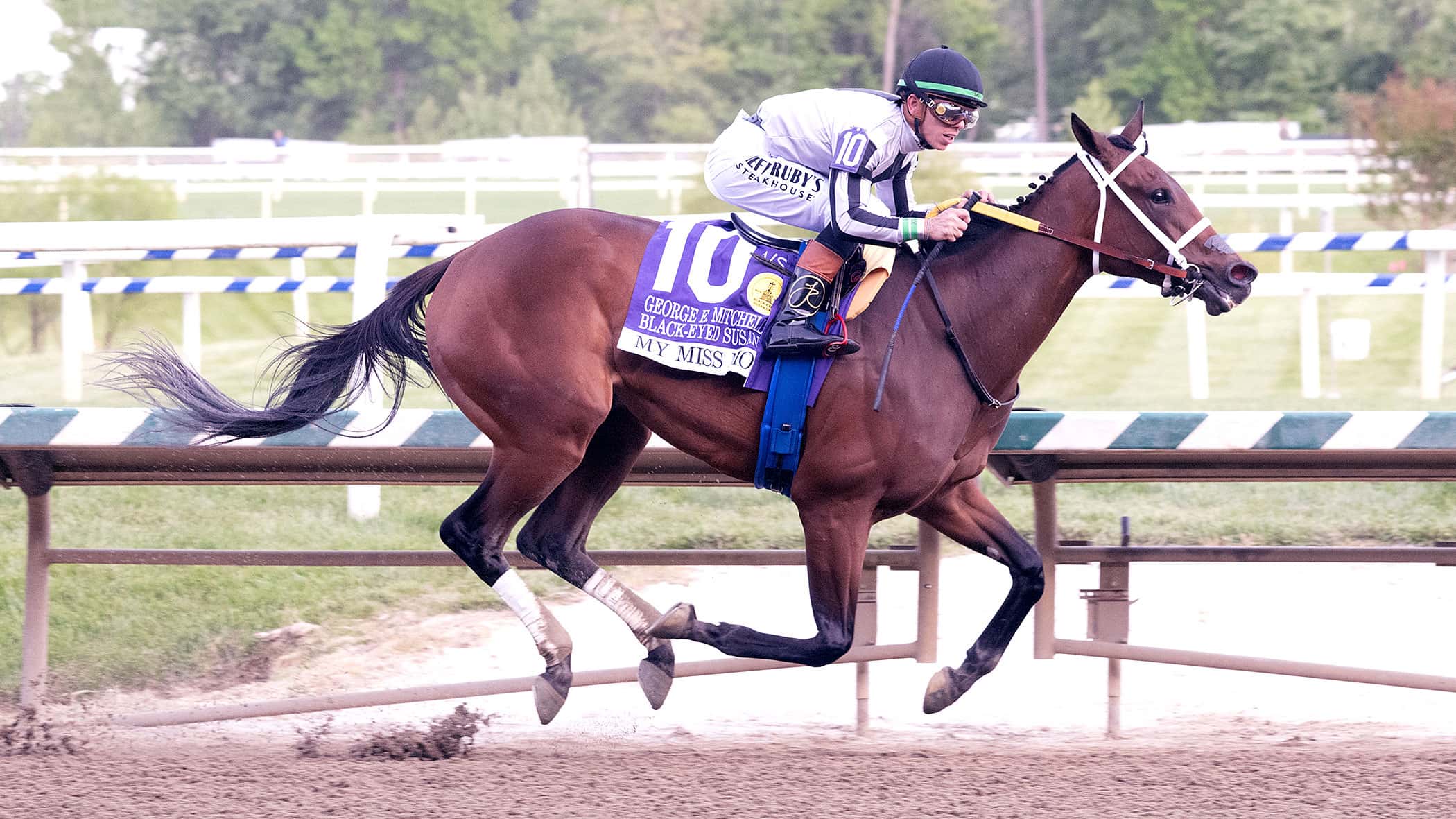 My Miss Mo Determined Winner of Black-Eyed Susan (G2)