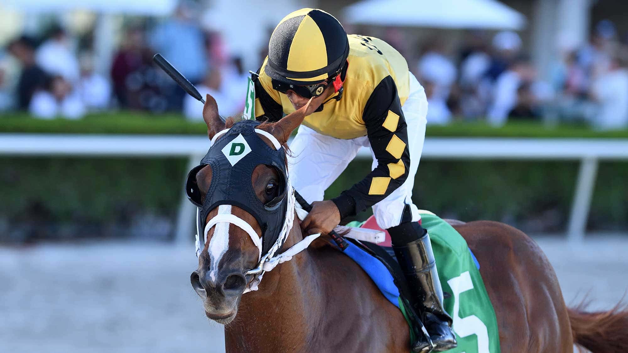 Awesome-Strong-the-FSS-Affirmed-1