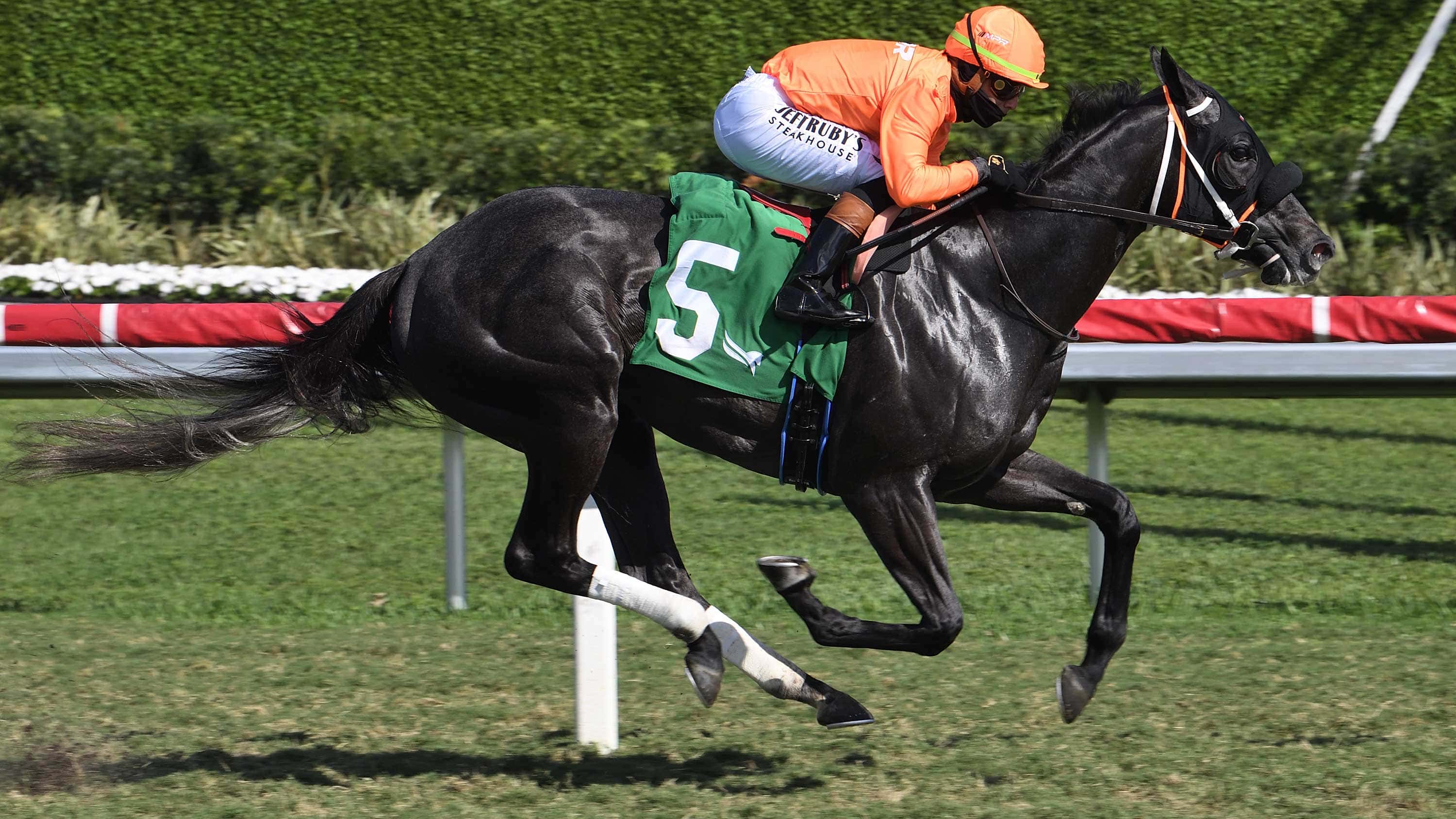 Shisospicy Takes Wednesday Feature in Grass Debut