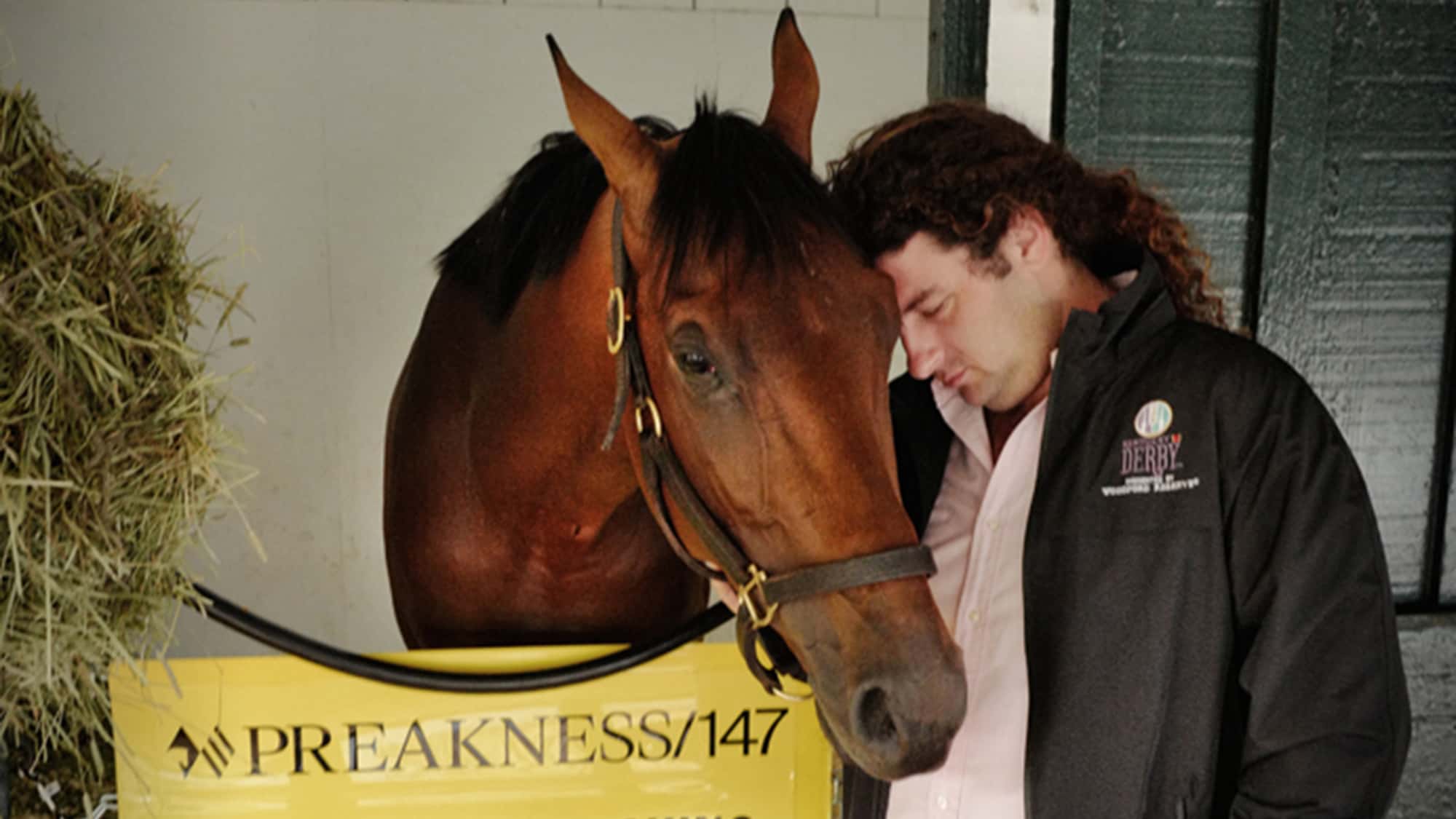 Saffie-and-Skippy-horse-lowres-