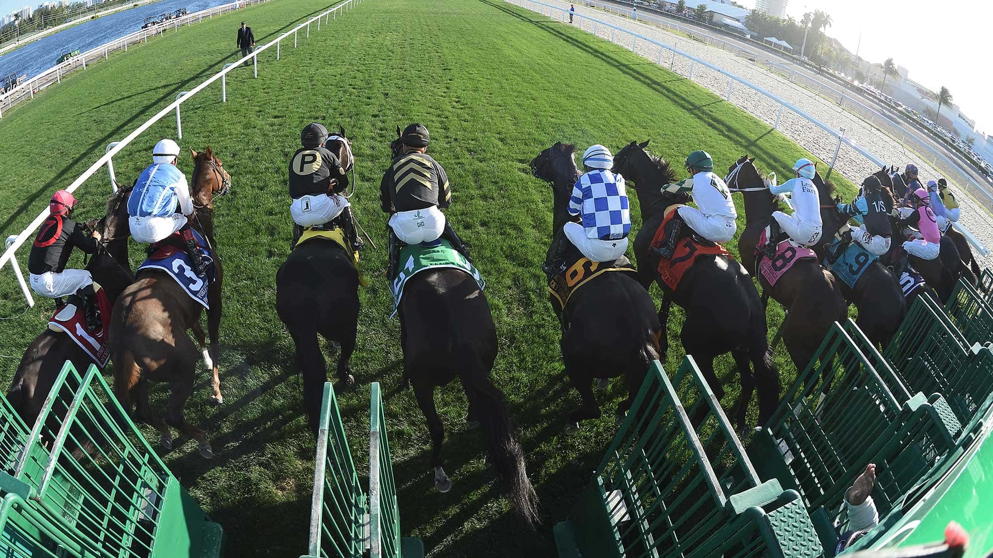 City-Man--7-the-Fort-Lauderdale-