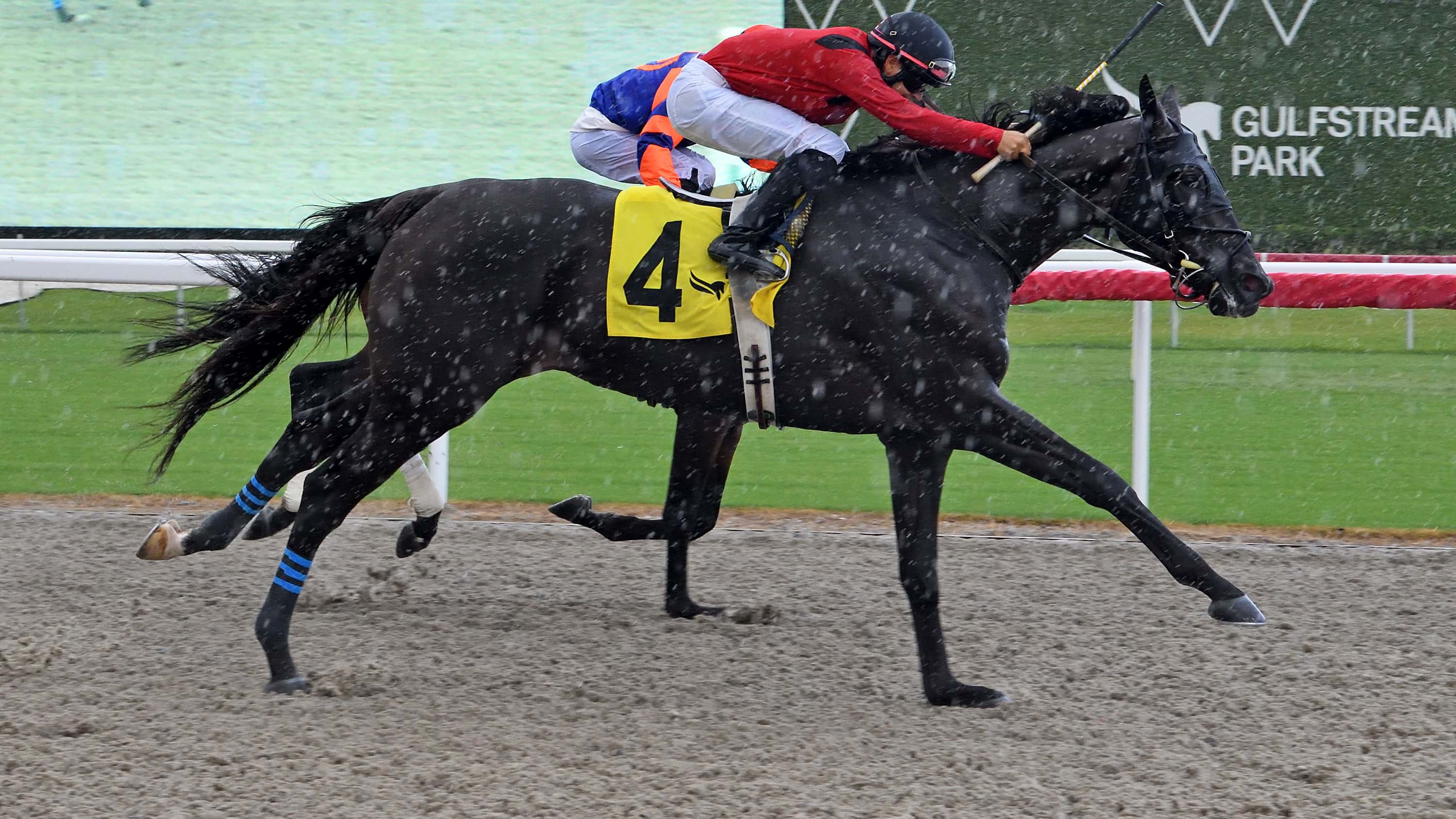 I Know I Know Aiming to Go the Distance in Jerkens Handicap