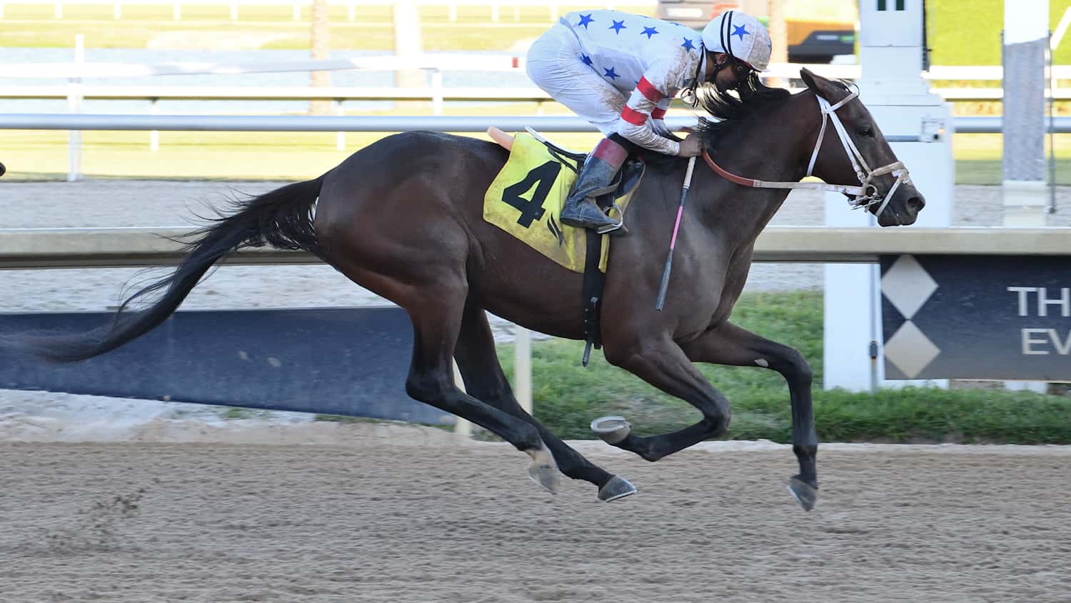 Steal Sunshine Gets Job Done in $70,000 Finallymadeit