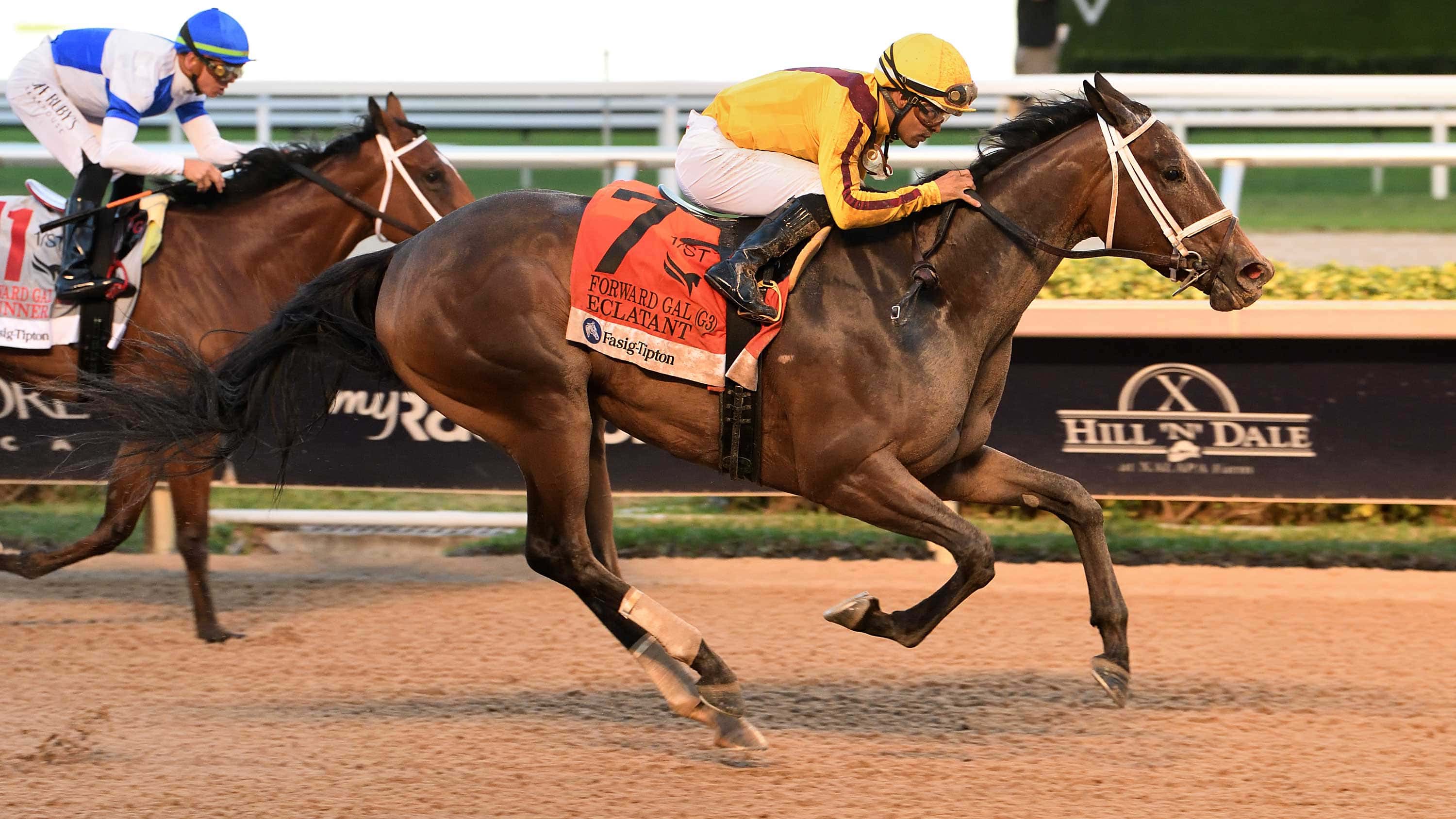 Eclatant Wins 3-Year-Old Debut in Forward Gal (G3)