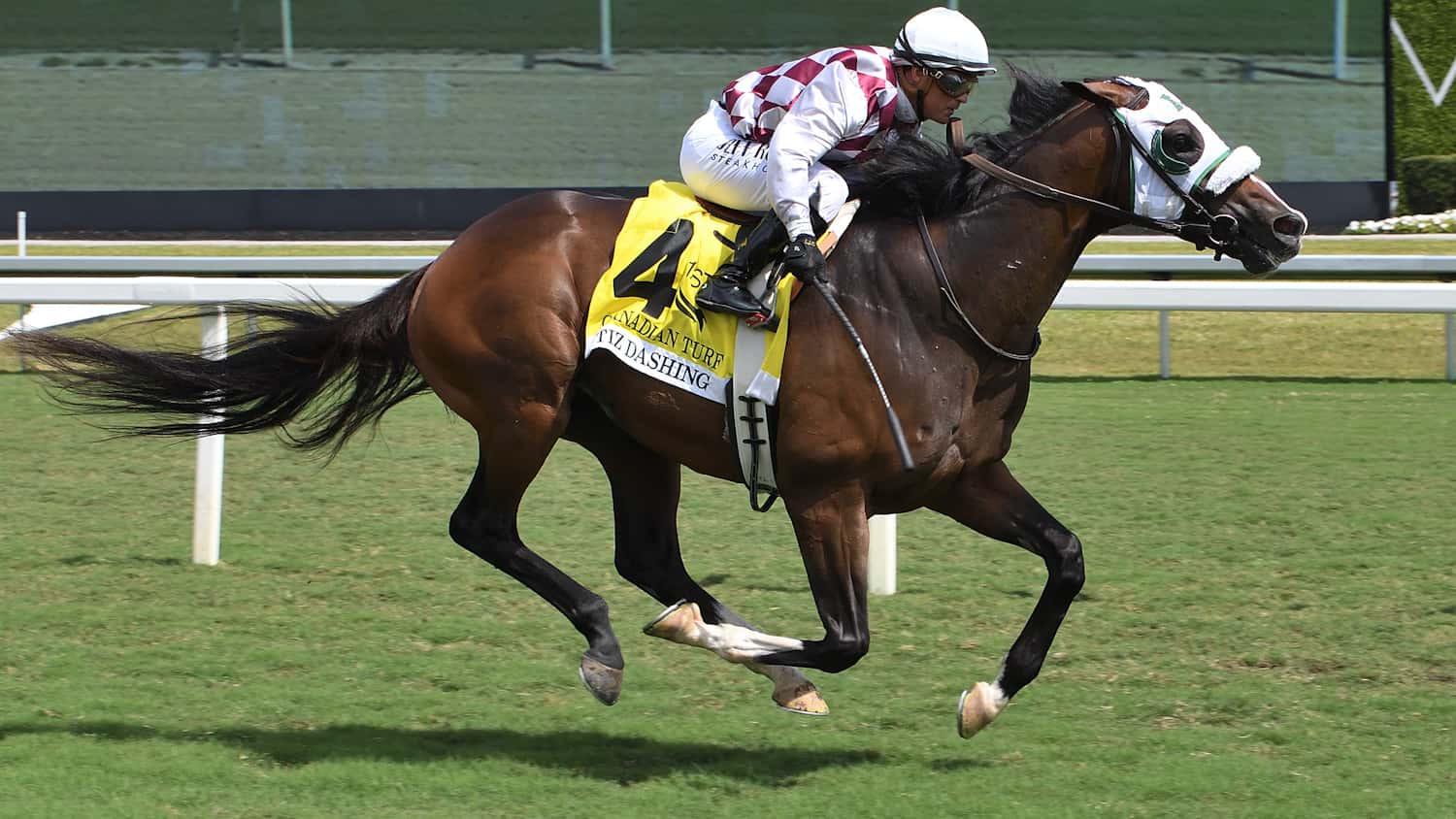 Tiz Dashing Pulls Away Late in Canadian Turf (G3)