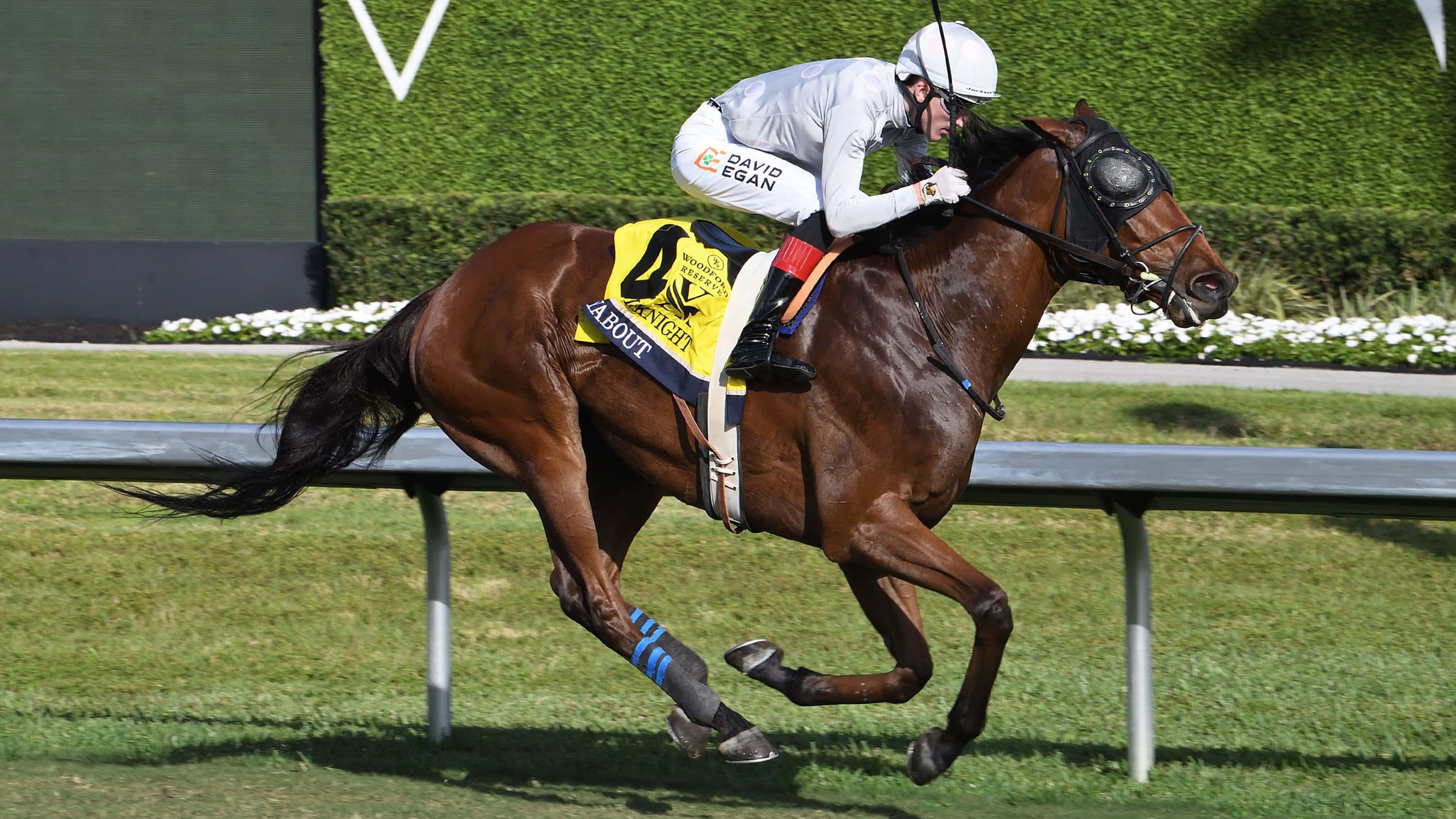 Layabout Shows the Way in William L McKnight (G3)