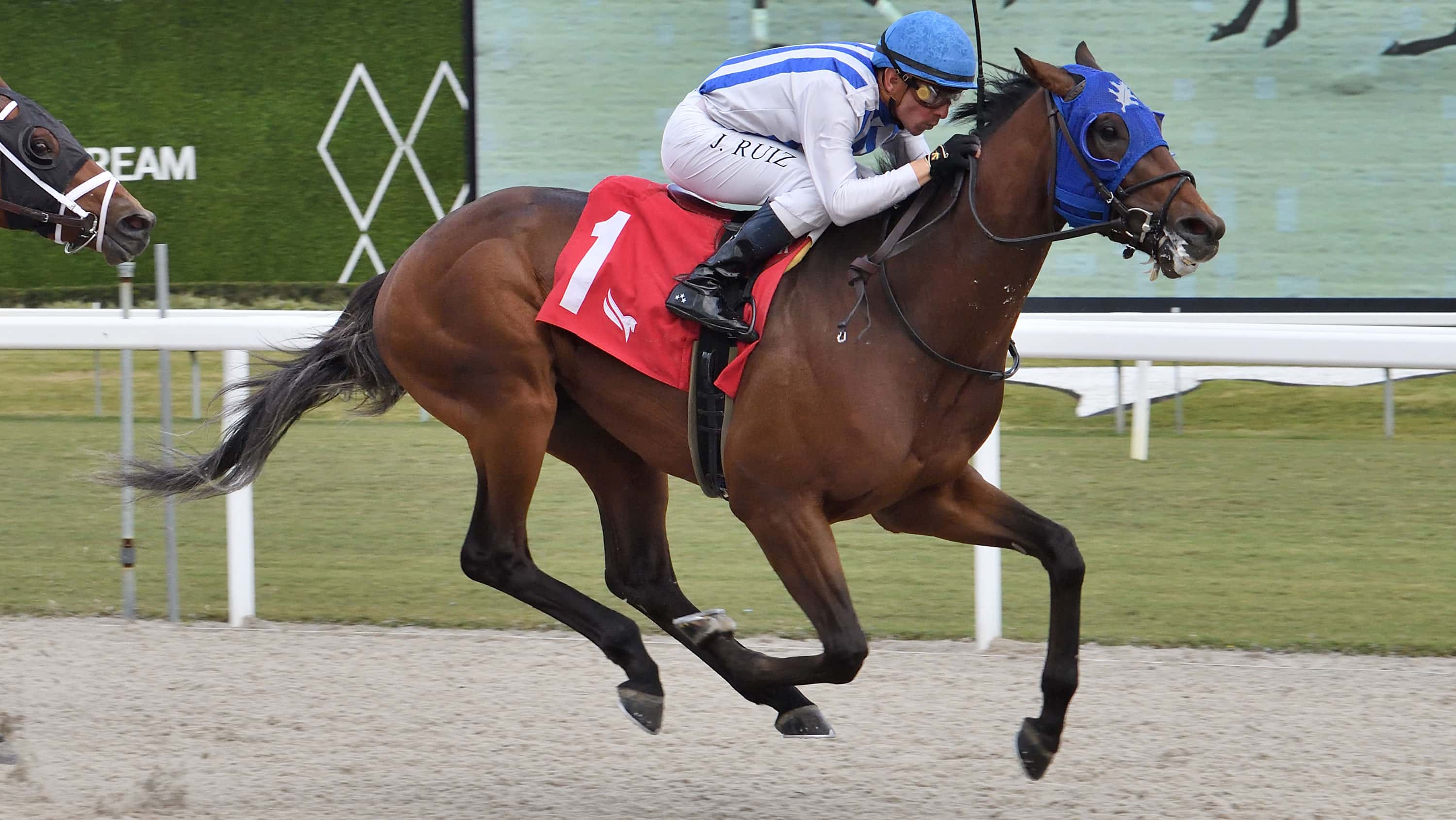 Chaos Agent Springs 11-1 Upset in Thursday Feature