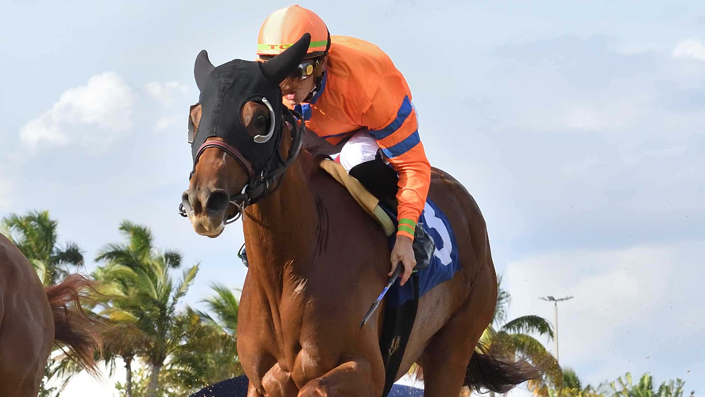 Windy Walk Upsets Grade 1 Winners in $140,000 Rampart