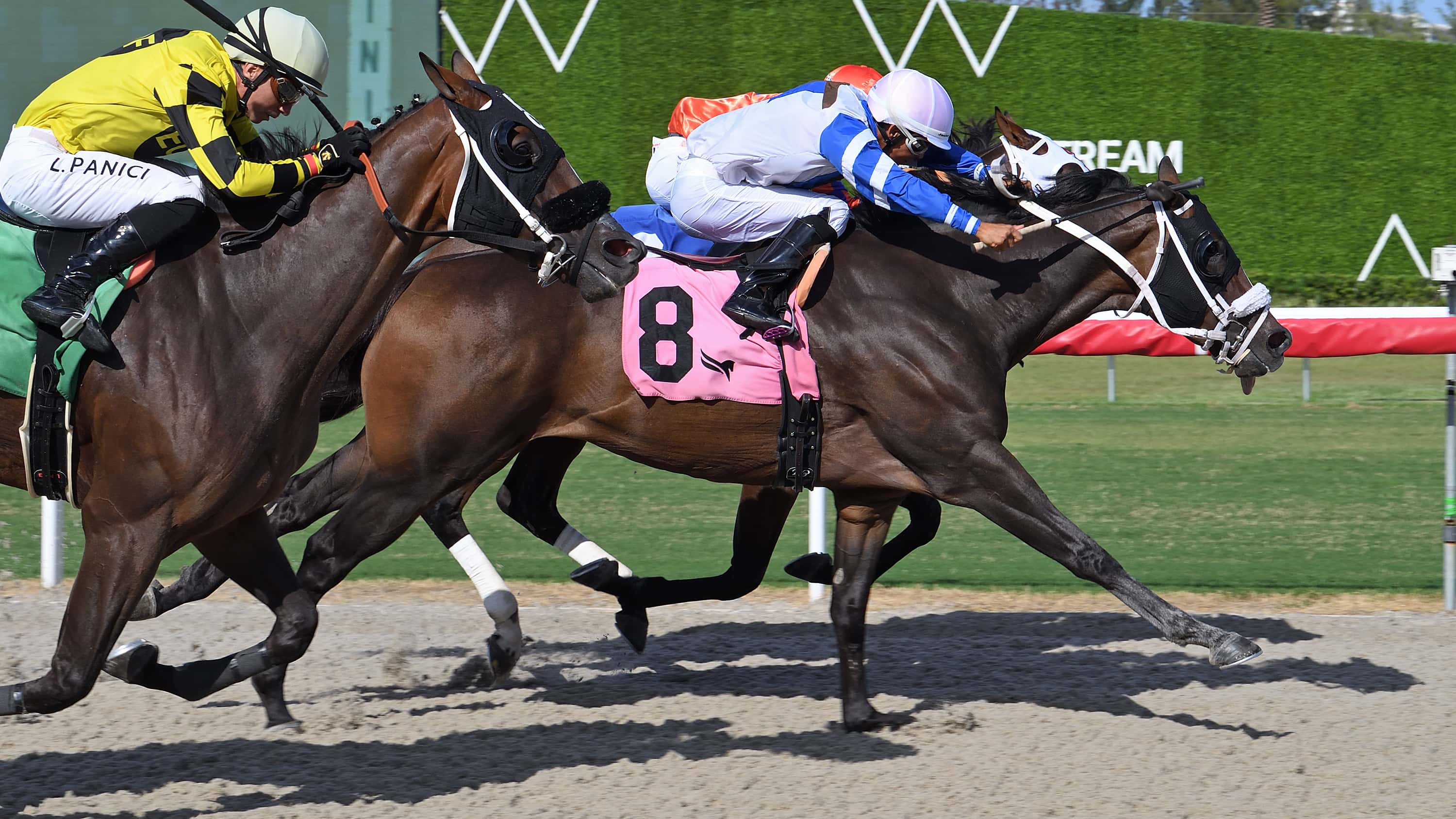 And Uwish Blossoms in Sunday’s Successful Native Handicap