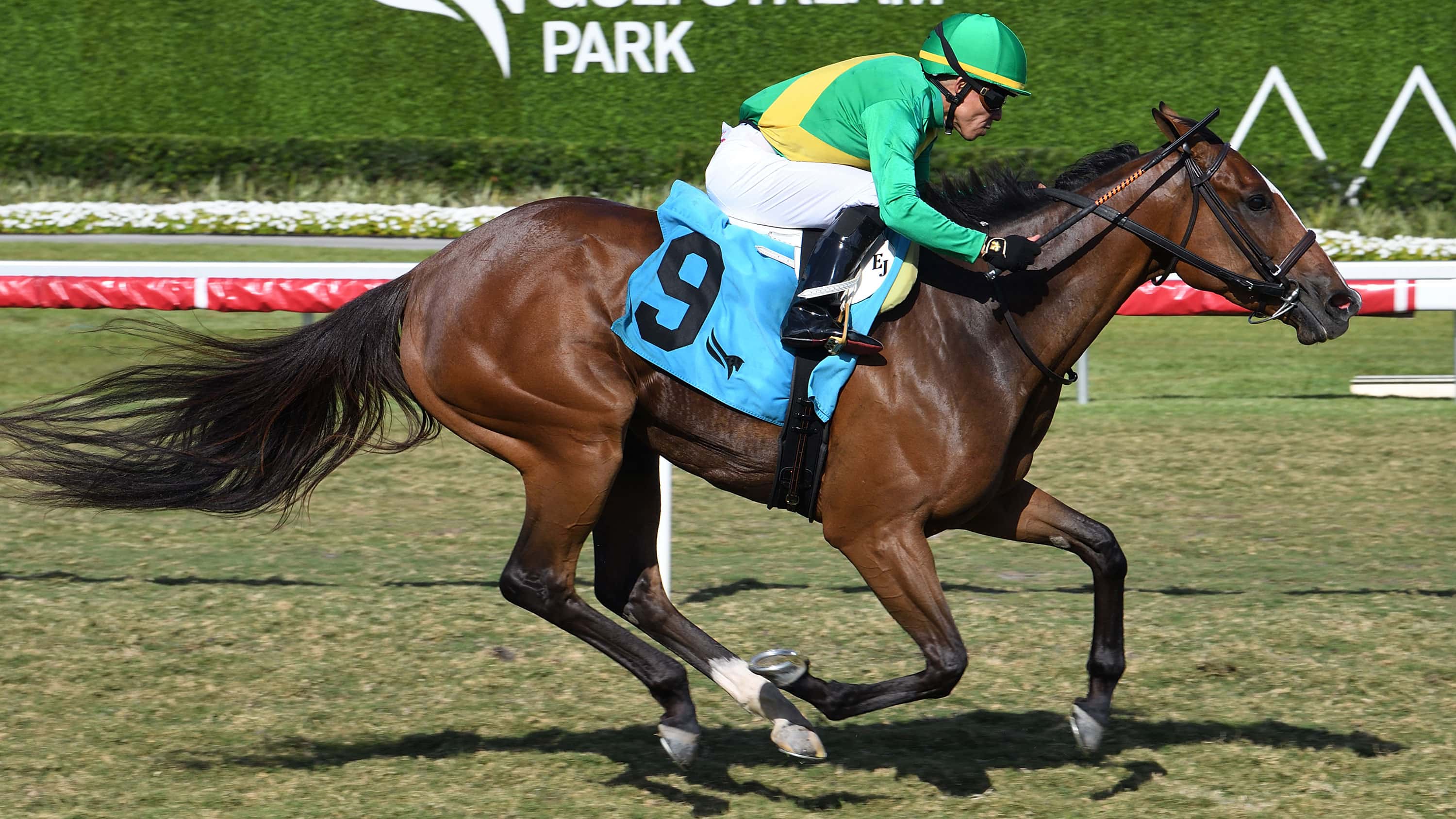 Ozara Gets Jump on Clement Stablemate to Win Monroe