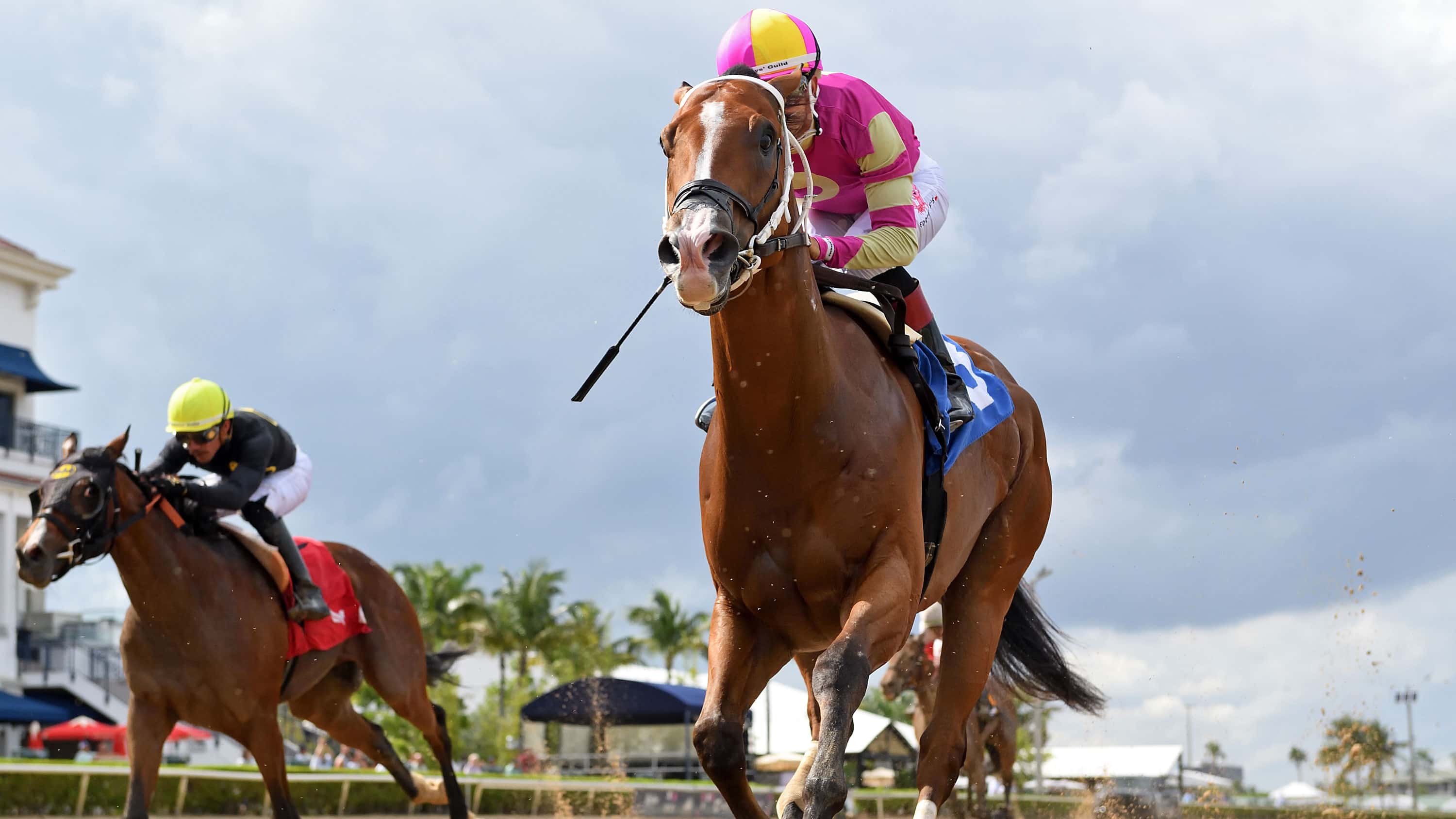Zayas Reacquaints Himself with Gulfstream Winner’s Circle