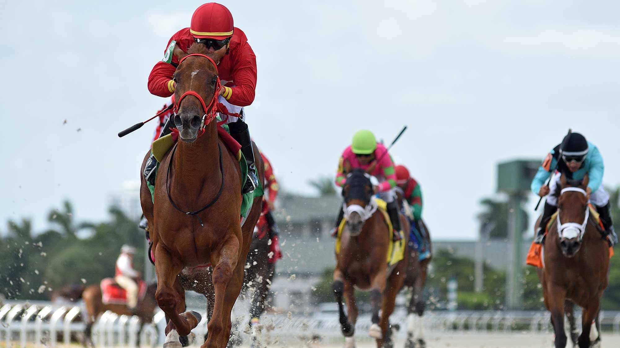 Omixochitl-The-Miss-Gracie-