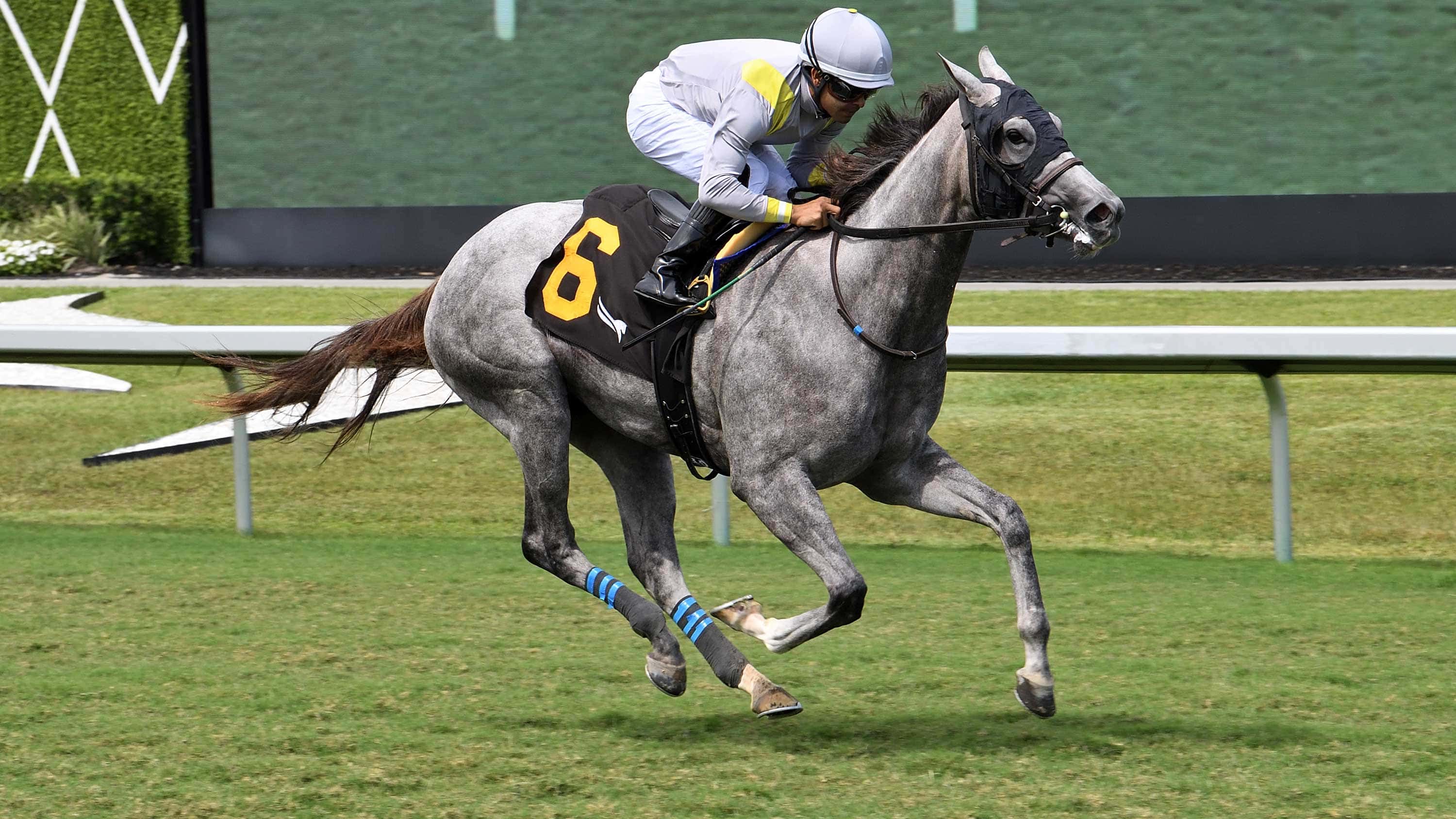 Biancone: Lennilu ‘The Right Horse’ for Royal Ascot