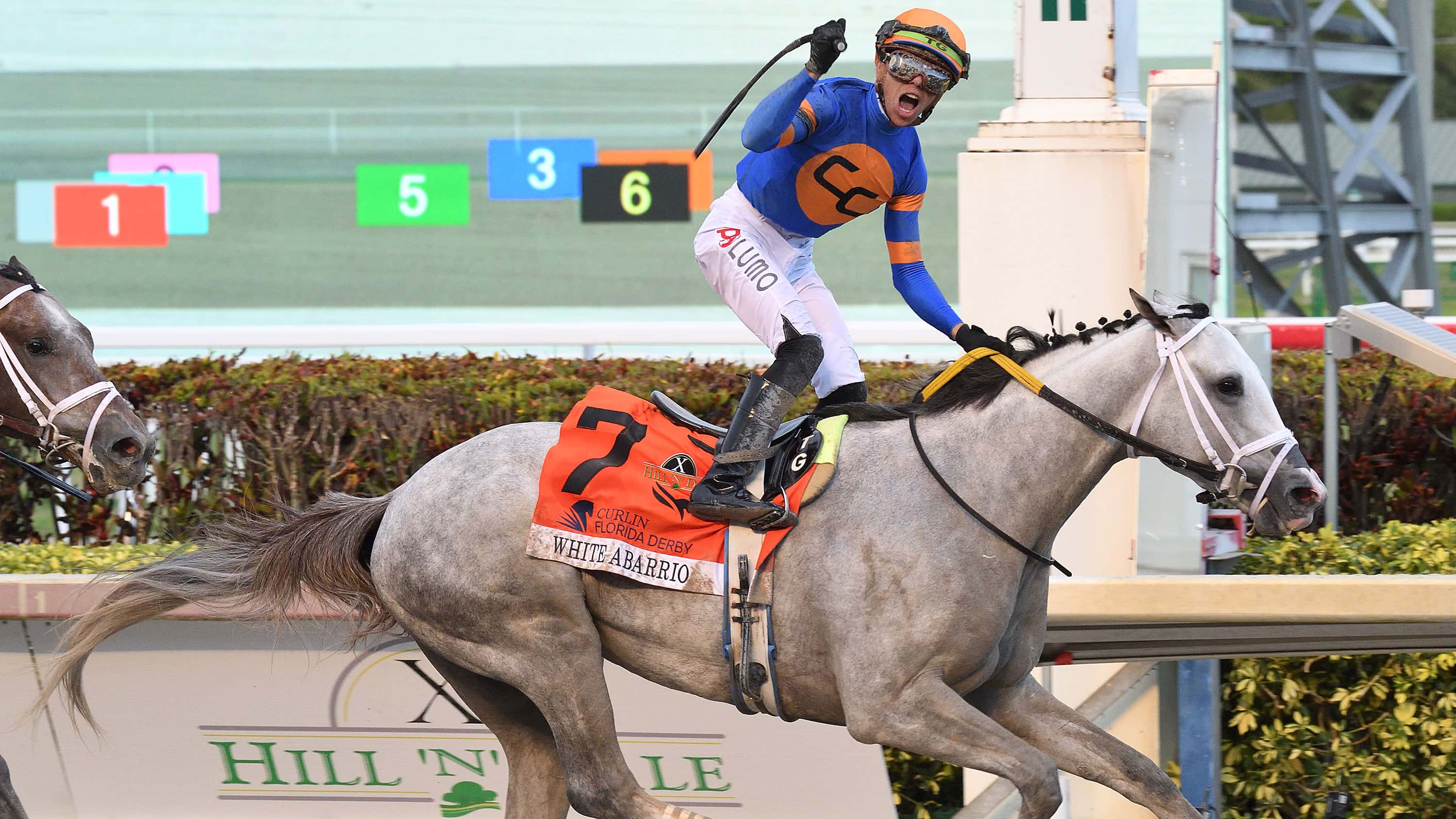 White Abarrio Slated to Return Friday at Gulfstream Park