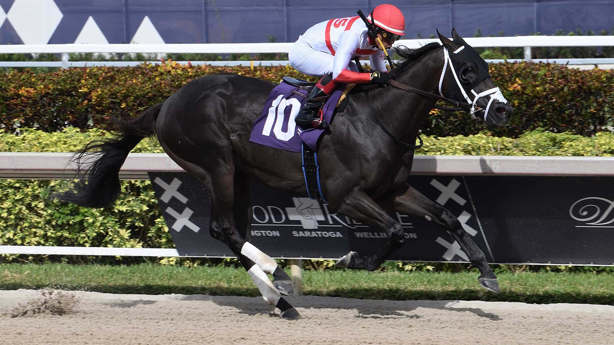 Bentornato-the-FSS-Dr-Fager