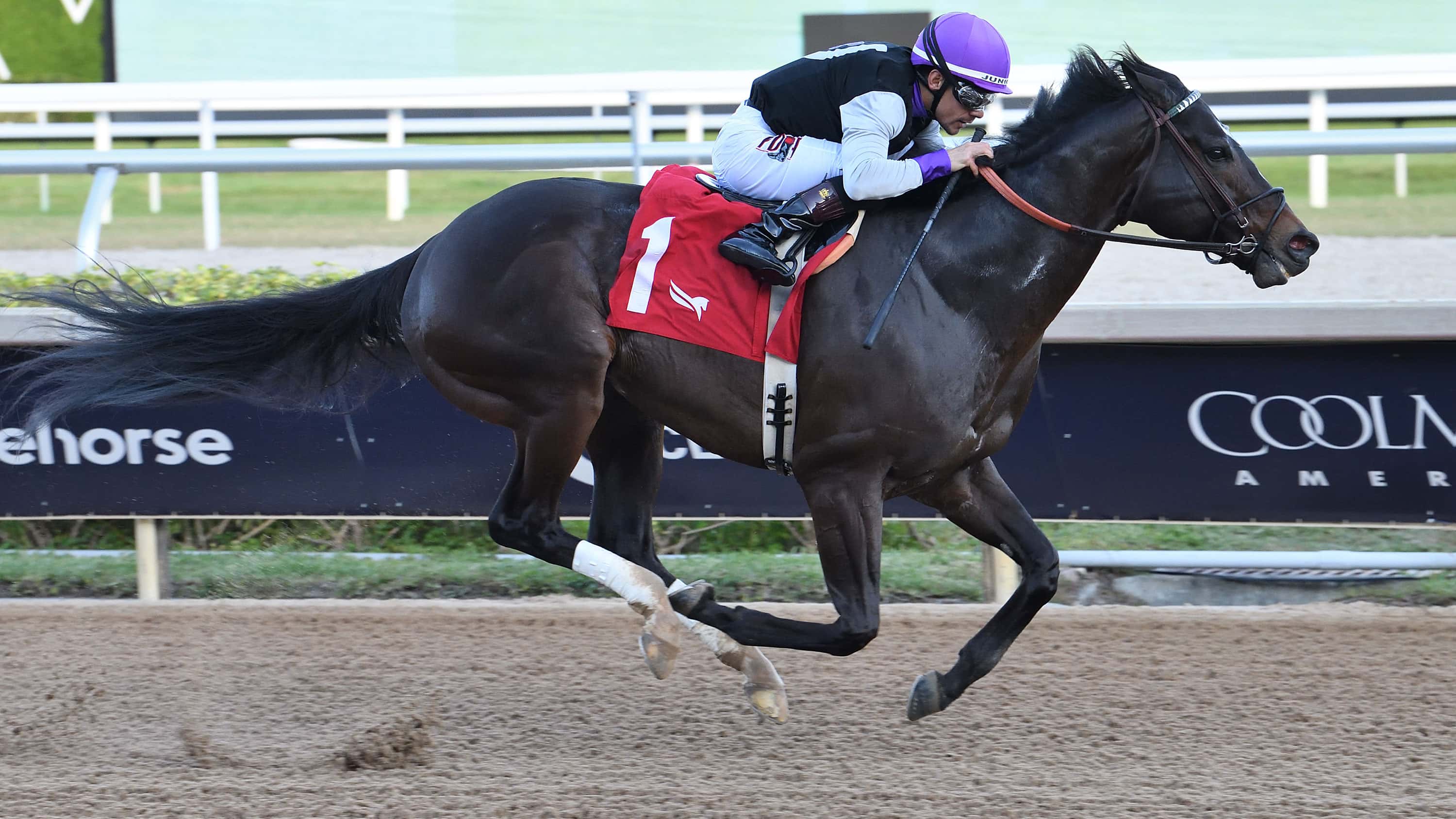 Damon’s Mound Faces Seven in $100,000 FHBPA Sprint