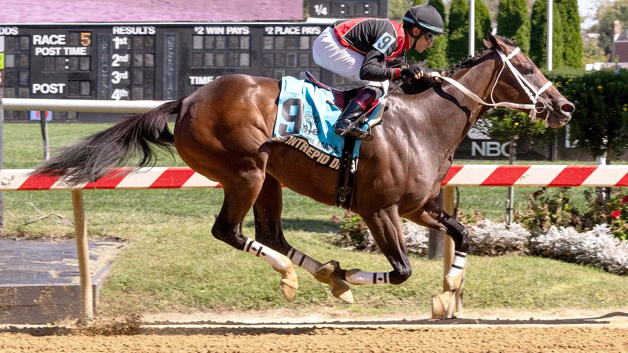 Intrepid Daydream Seeks to Regain Form in Royal Delta (G3)