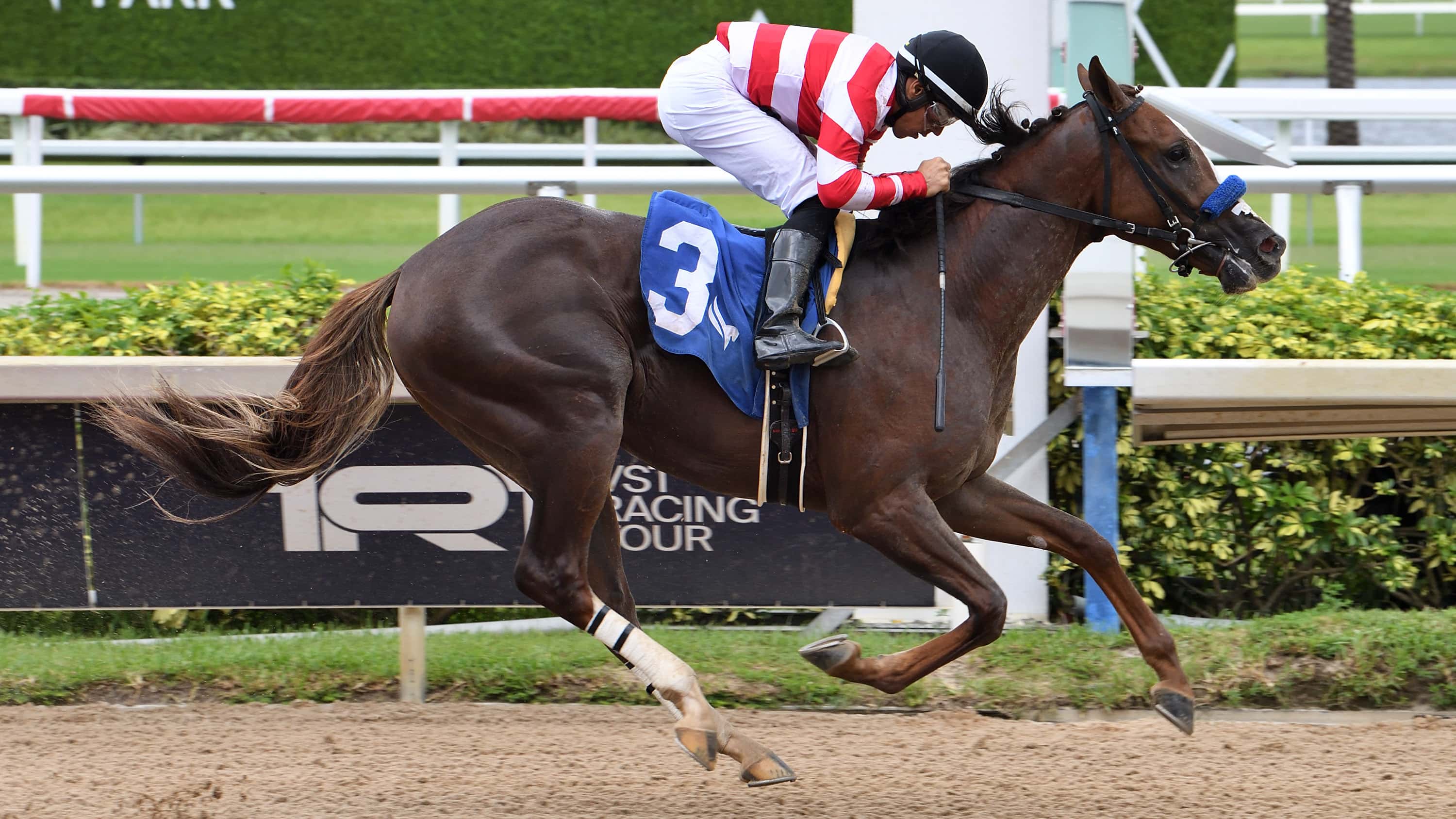 Six Florida-Bred Stakes Worth $600,000 Draw 108 Nominations