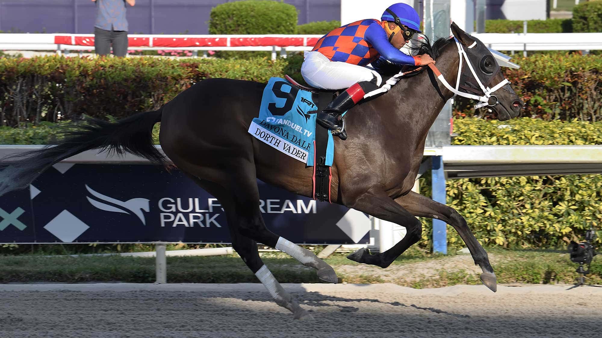 Dorth-Vader-the-Davona-Dale-23