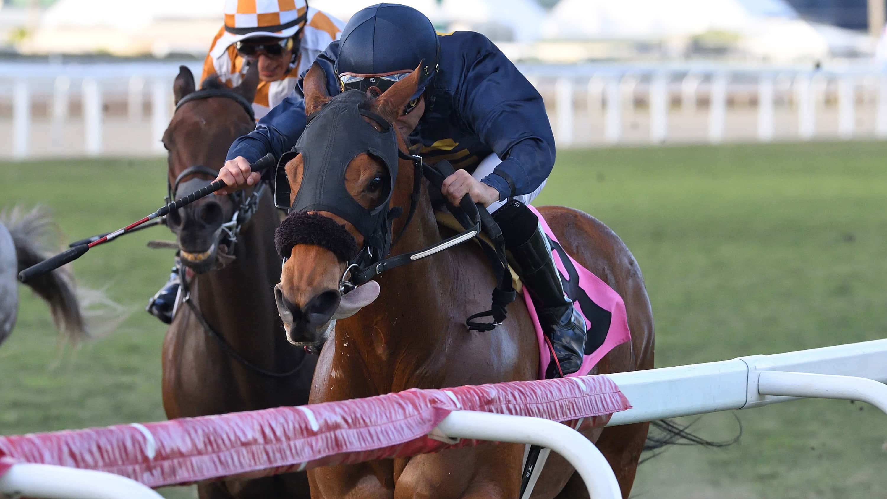 Epona’s Hope Leads All the Way in Ladies’ Turf Sprint