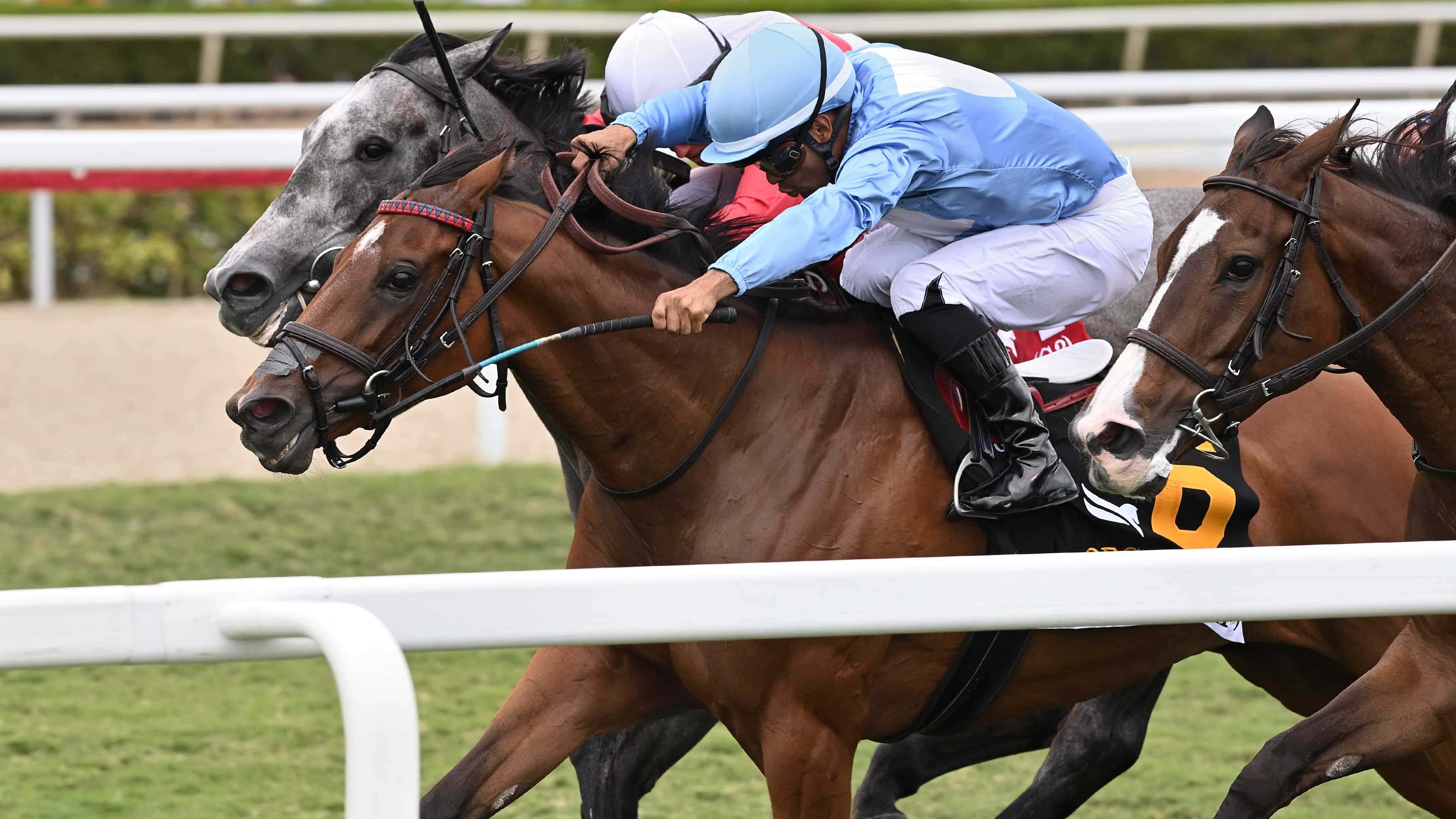 Beach Bomb Goes the Distance in $165,000 Orchid (G3)