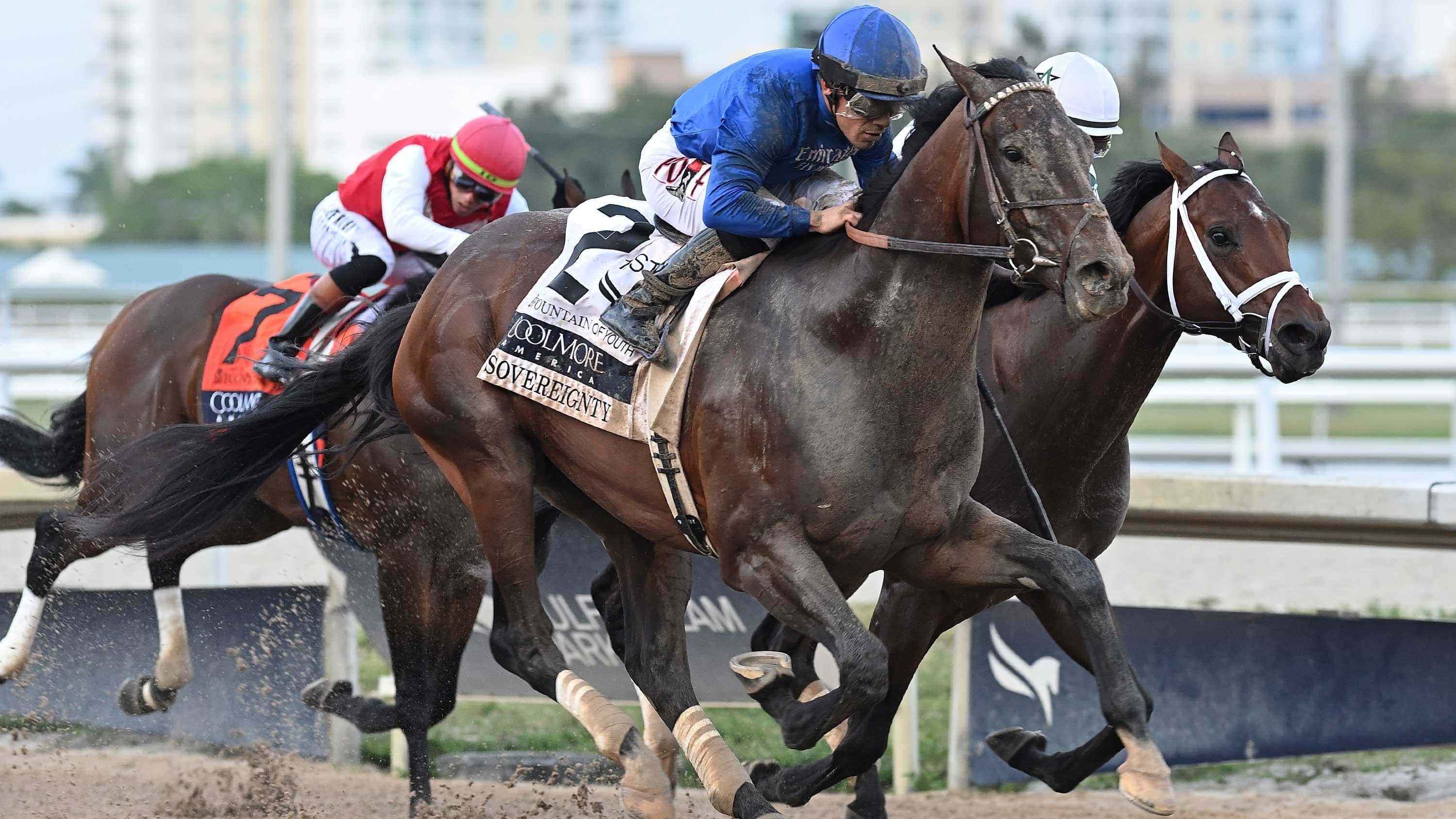 Sovereignty ‘Moving Well’ for Saturday’s $1 Million Curlin Florida Derby