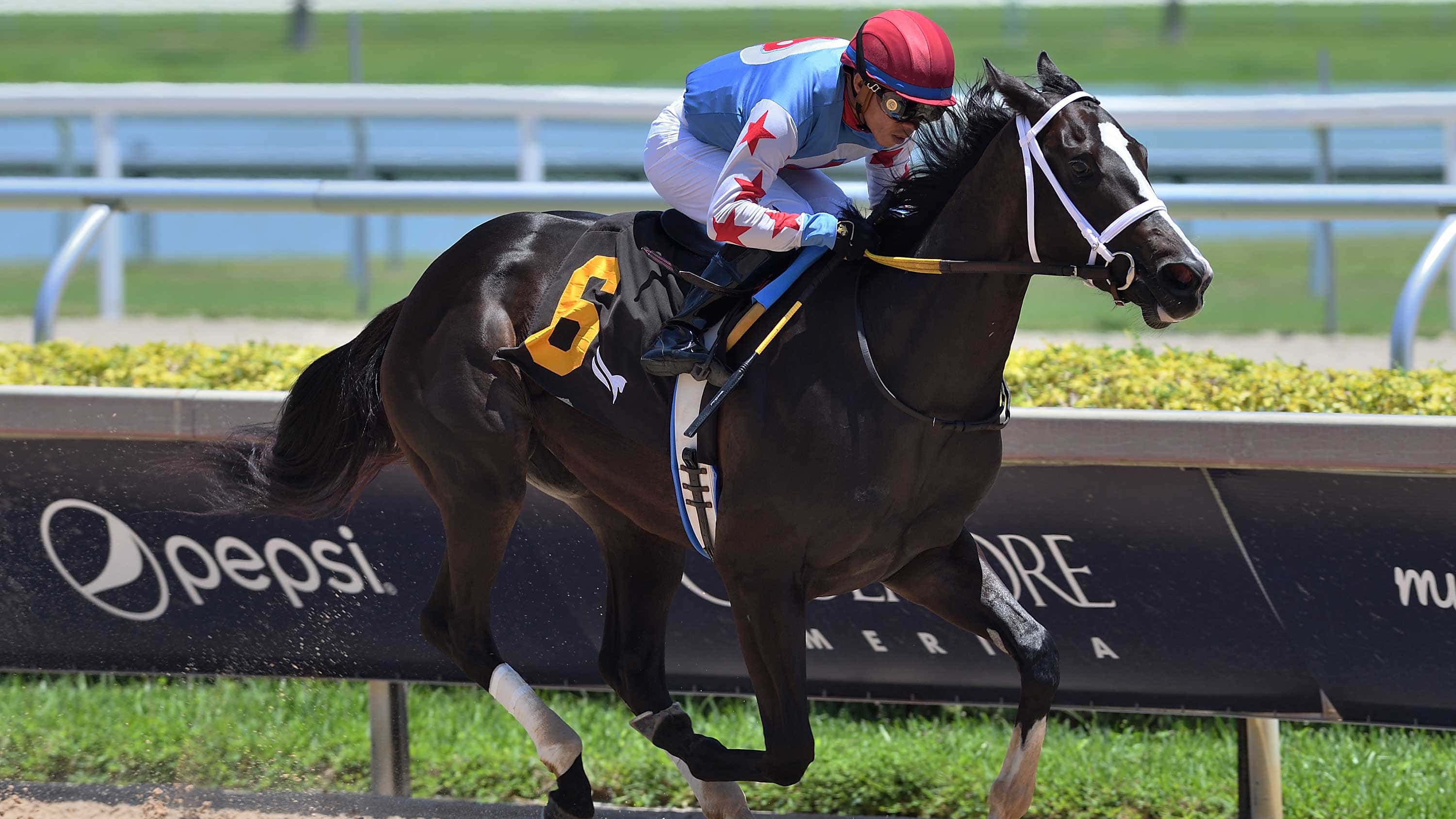 Andrea Set for Stakes Debut in $95,000 Hallandale Beach