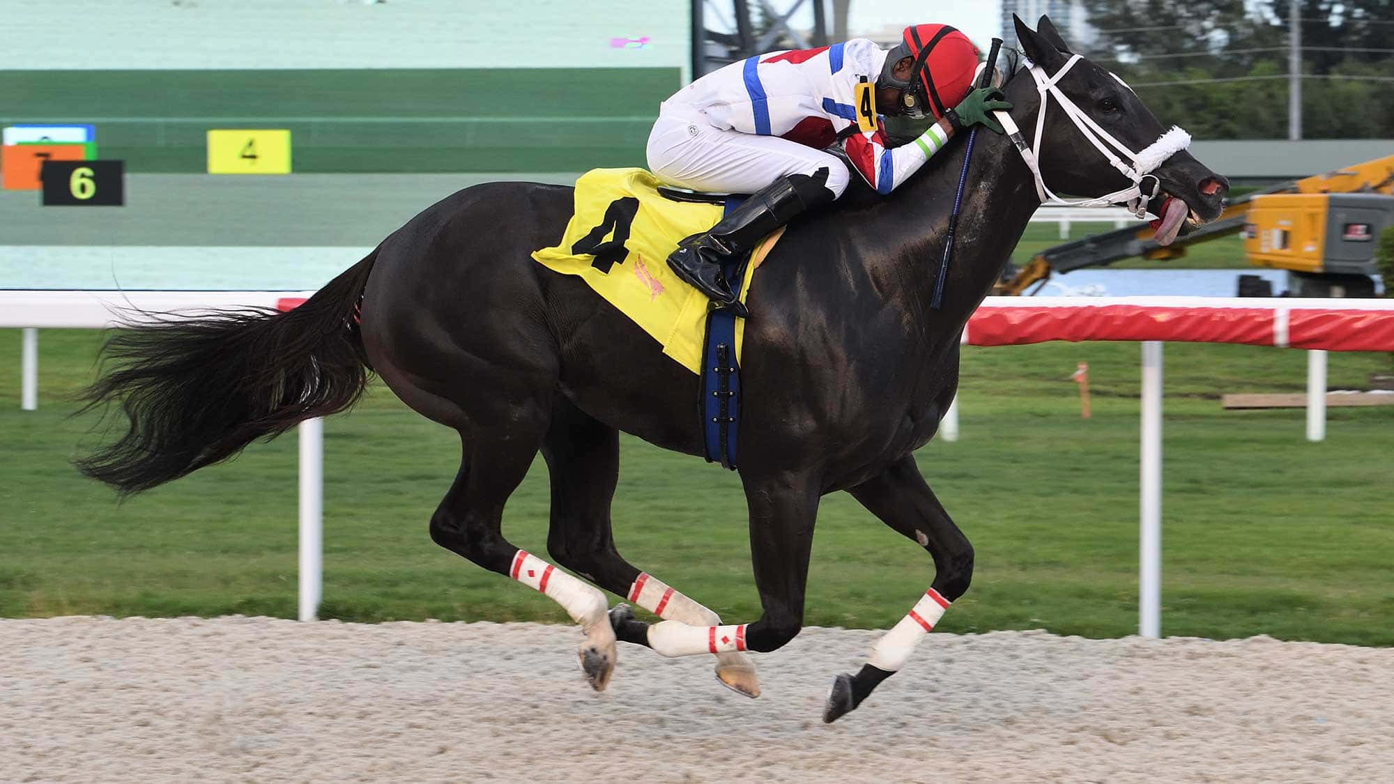 Running-Memories-the-Bay-Harbor-Islands-