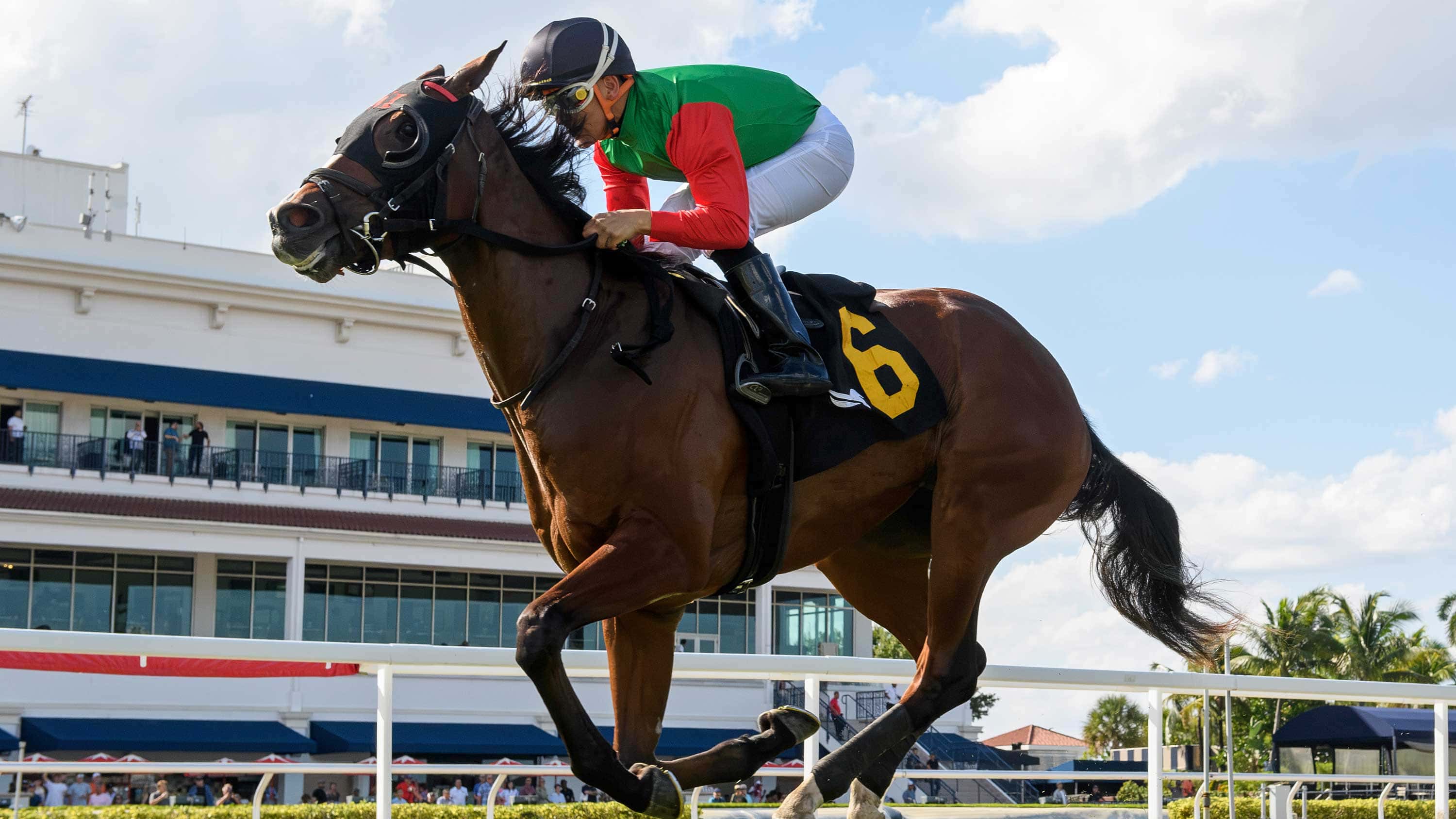 Riyadh Way Dominates Hollywood Beach with Big Stretch Run